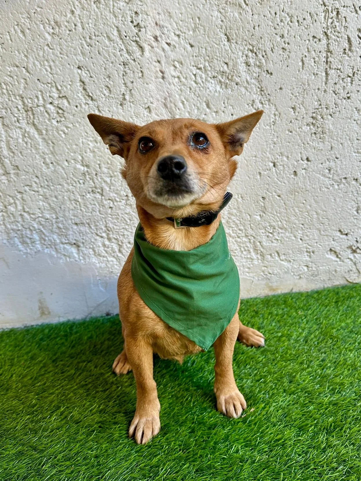 WhatsApp Image 2026-01-01 at 11.59.01 (2).jpeg