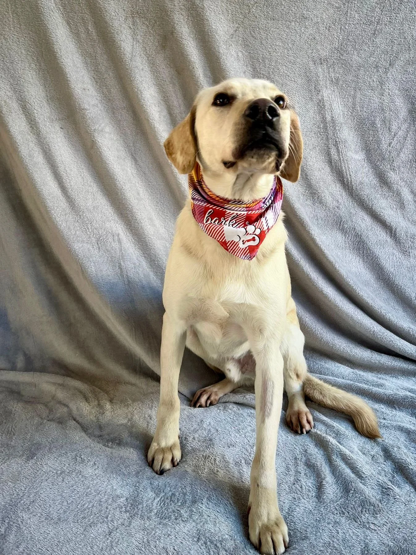 WhatsApp Image 2026-01-01 at 19.16.34 (3).jpeg