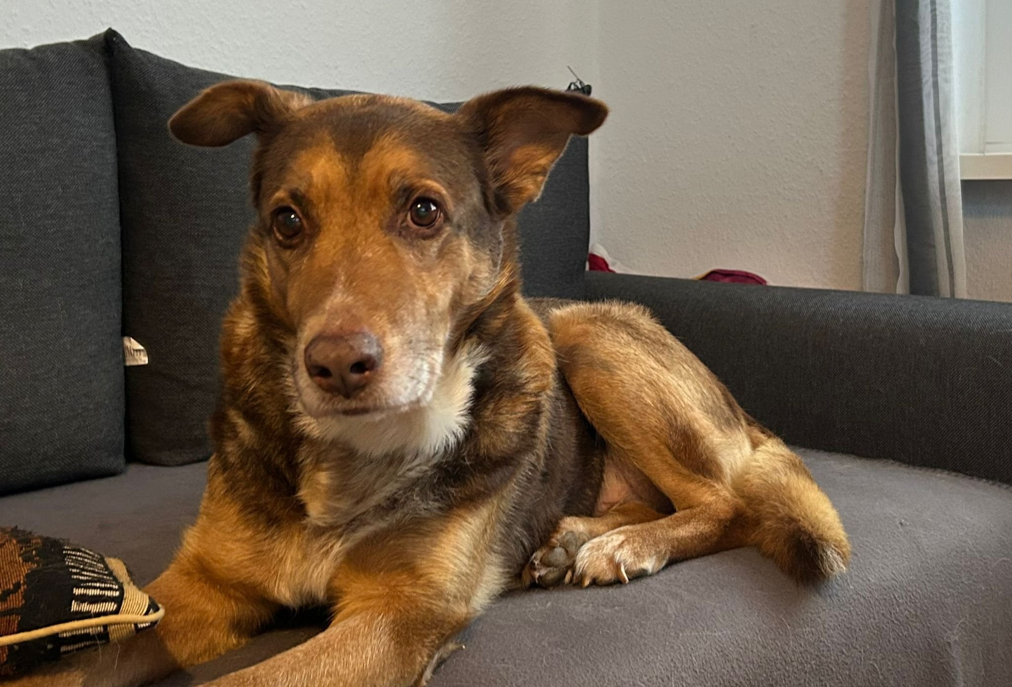 WhatsApp Image 2026-01-23 at 15.36.11 (1).jpeg