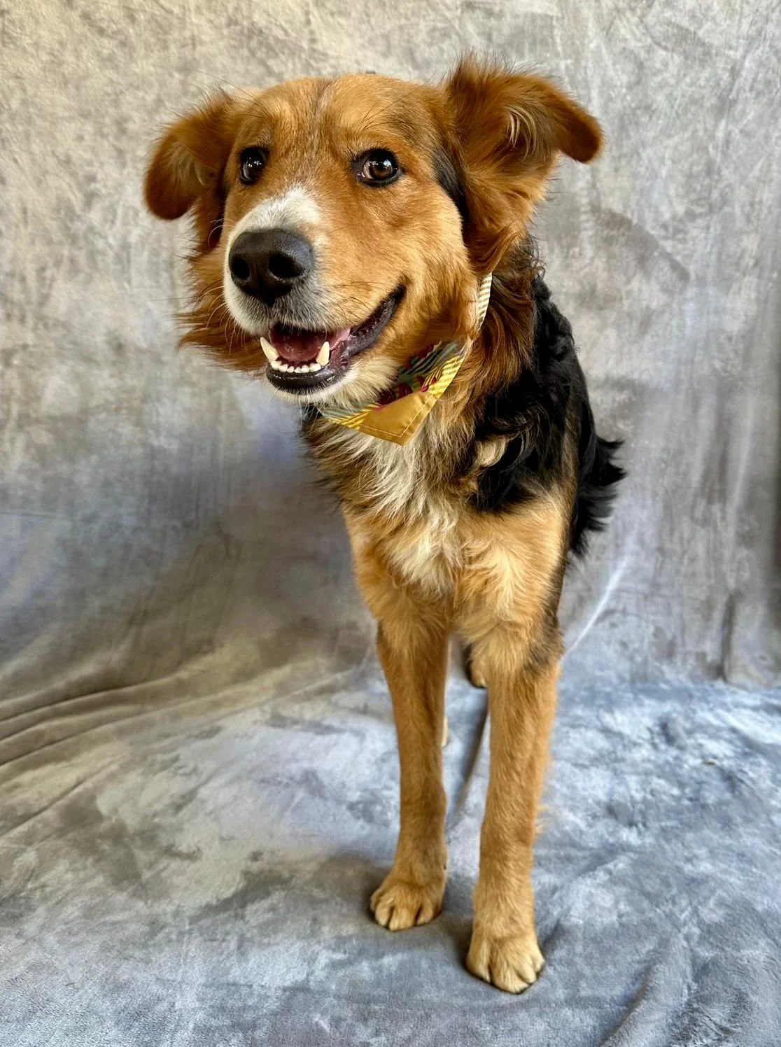 WhatsApp Image 2026-01-09 at 20.25.58 (1).jpeg