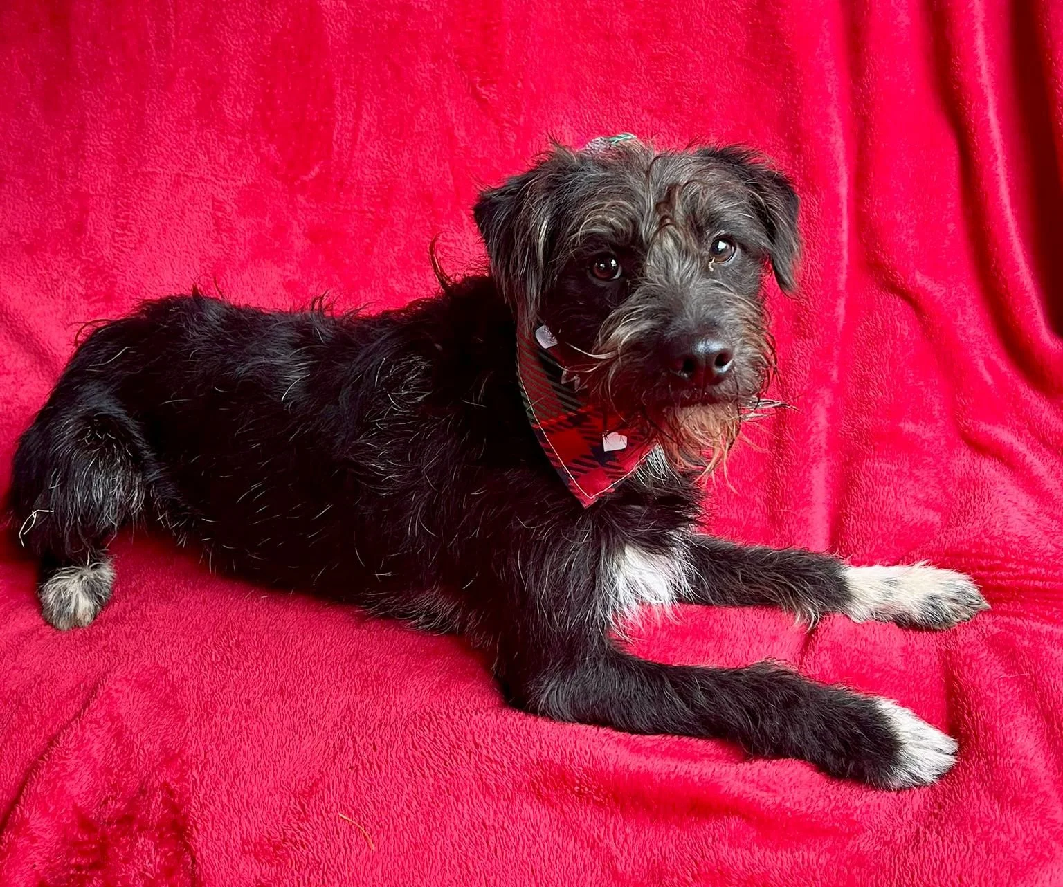 WhatsApp Image 2026-01-03 at 13.03.46 (2).jpeg