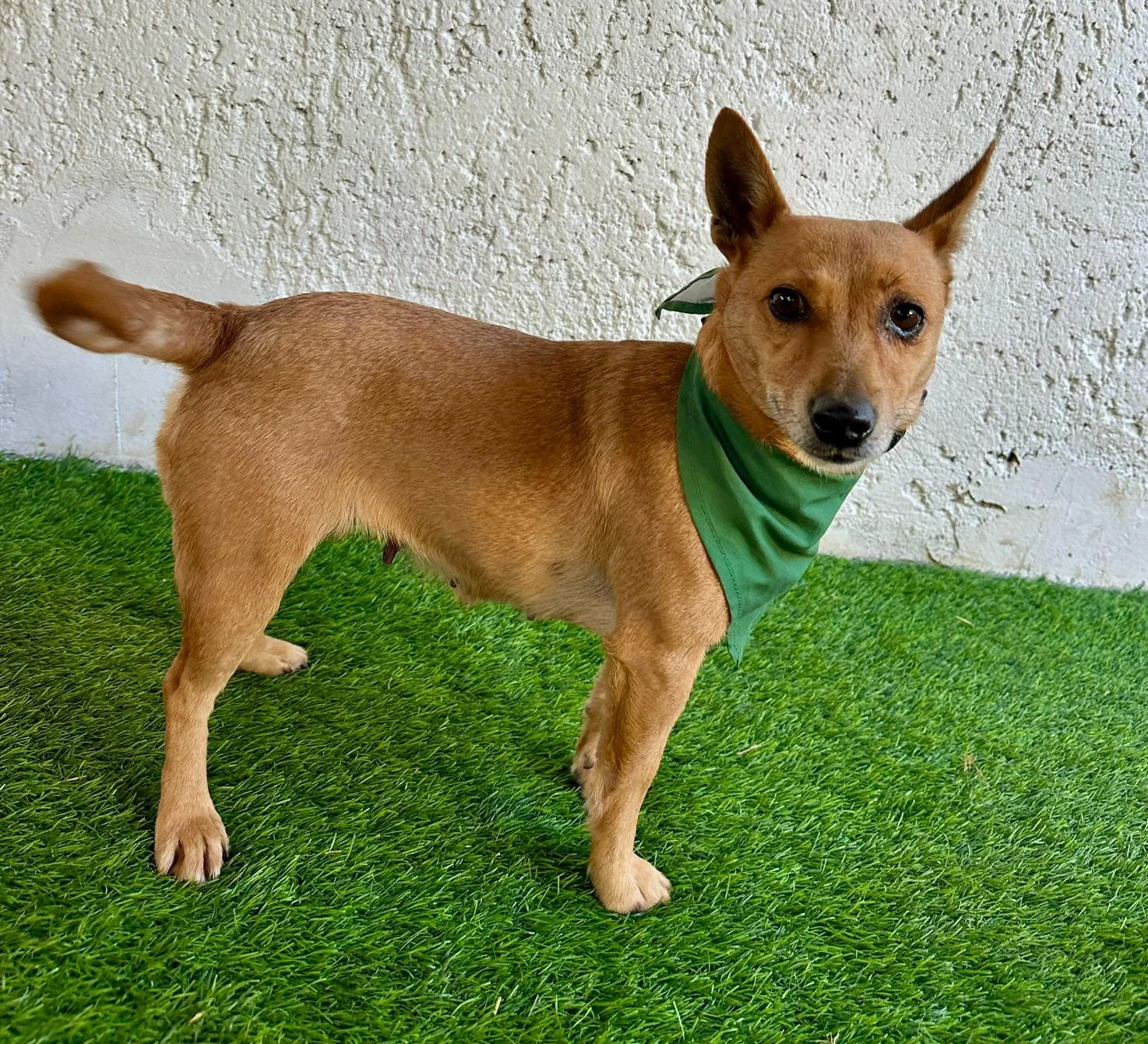 WhatsApp Image 2026-01-01 at 11.59.00 (1).jpeg