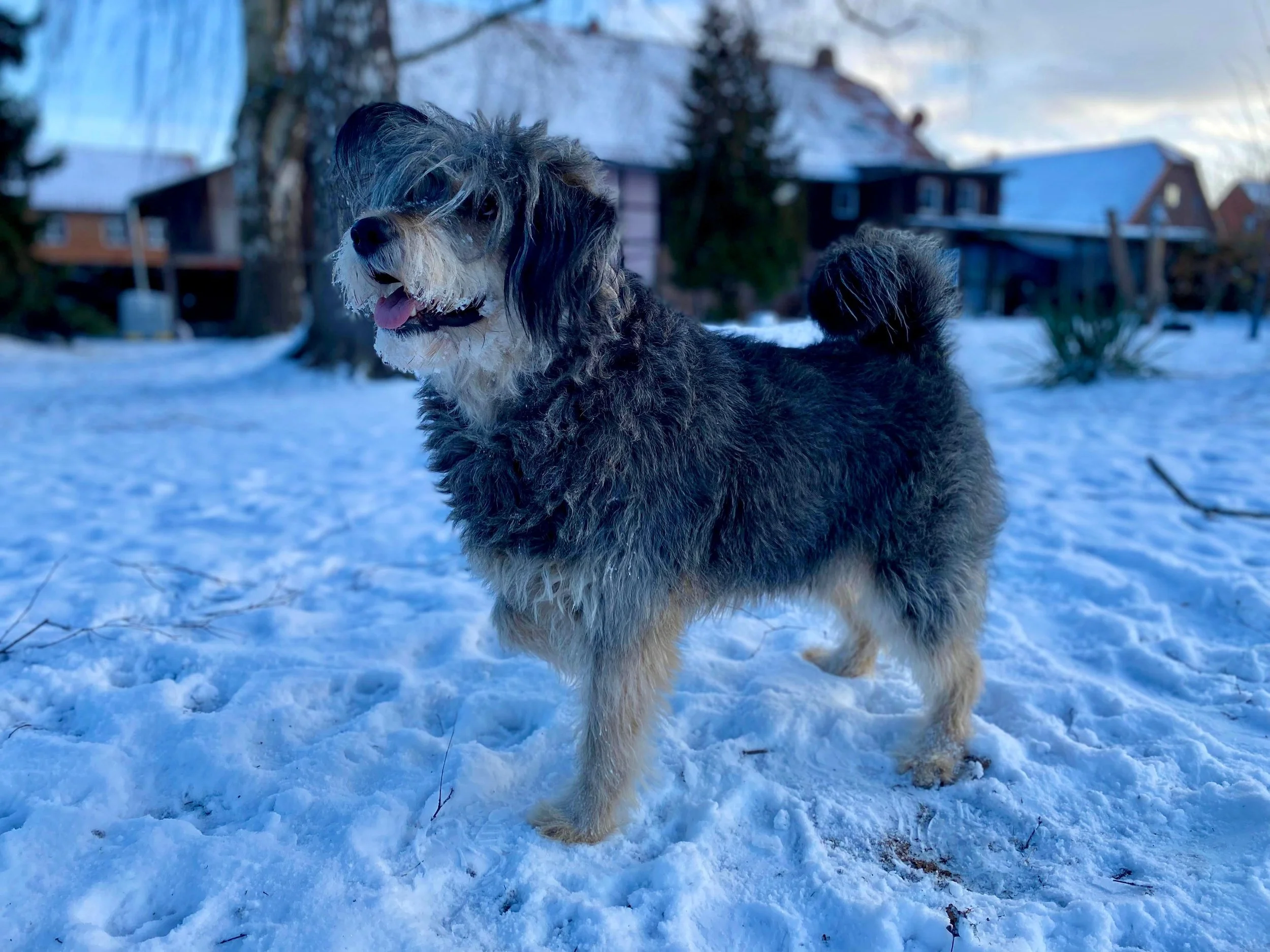 WhatsApp Image 2026-01-10 at 12.02.48 (3).jpeg