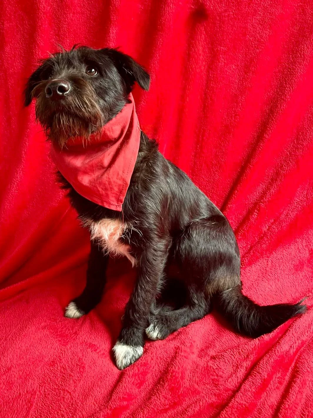 WhatsApp Image 2026-01-03 at 17.56.37 (1).jpeg