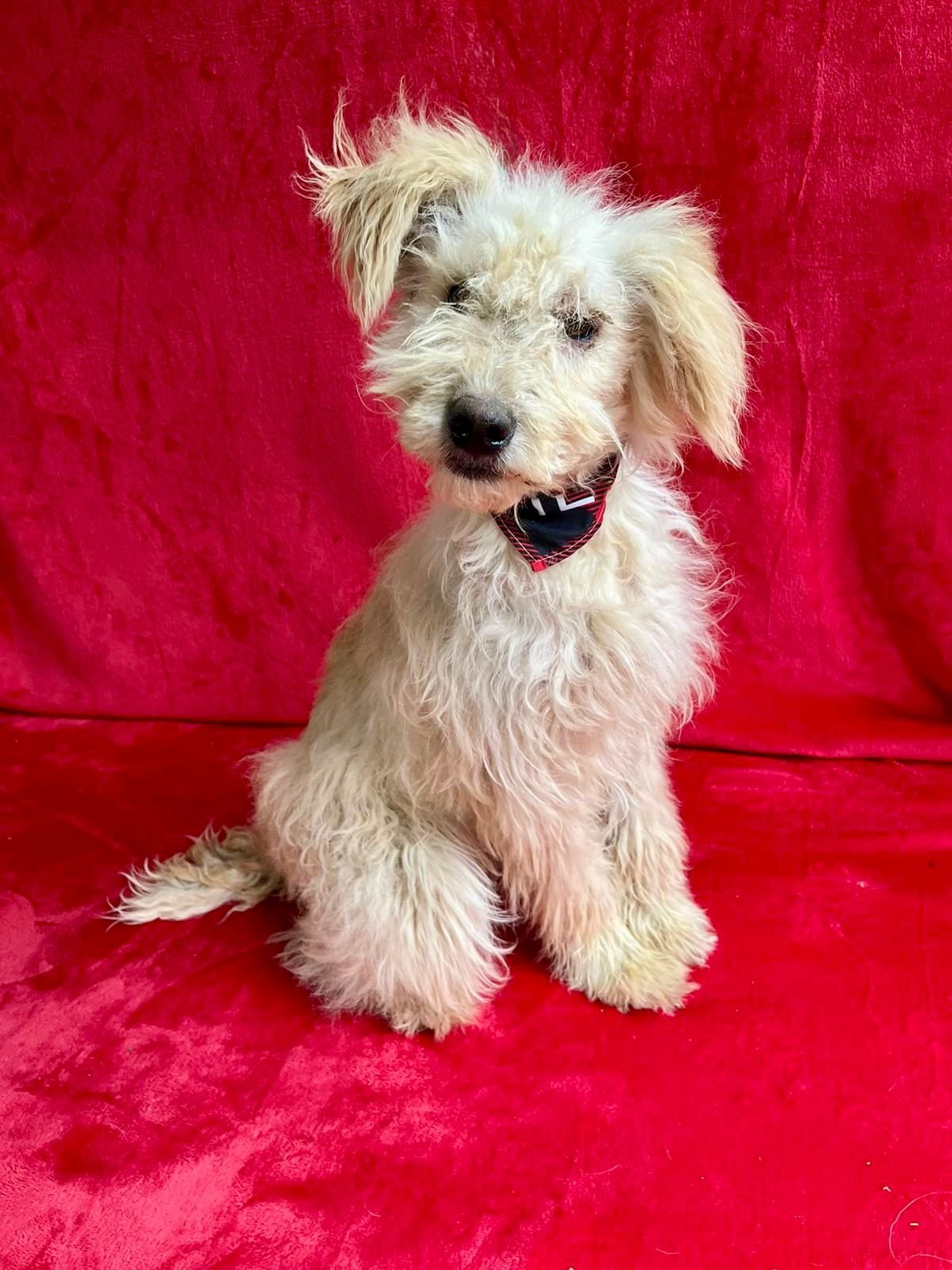 WhatsApp Image 2025-10-31 at 10.04.32.jpeg