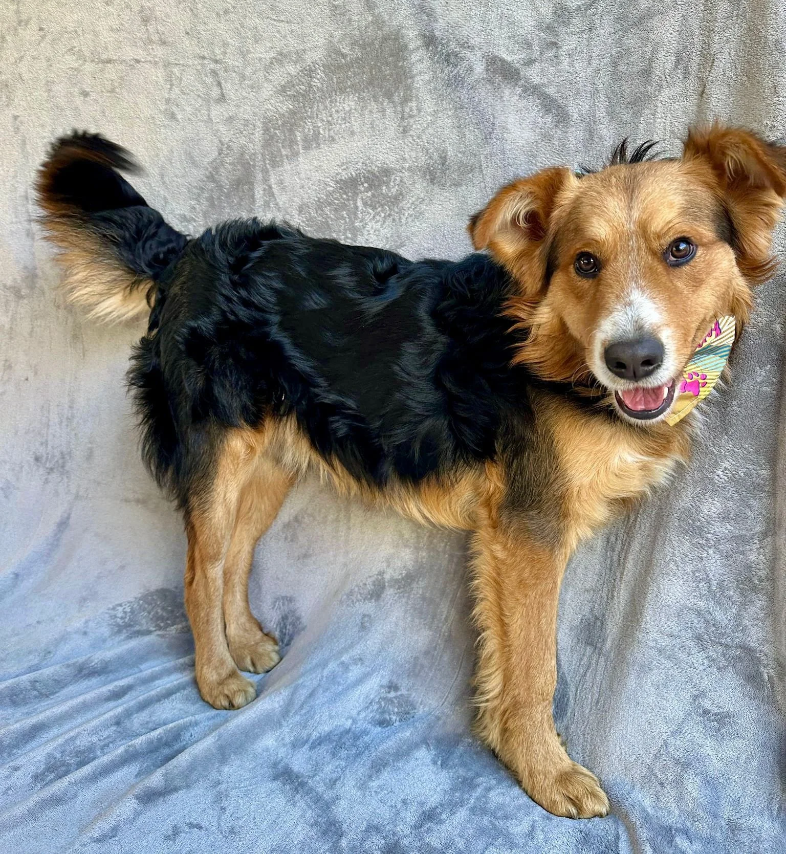 WhatsApp Image 2026-01-09 at 20.25.57.jpeg