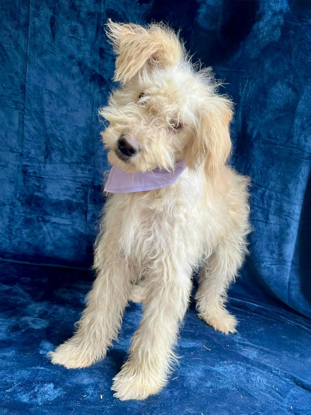 WhatsApp Image 2025-10-31 at 10.04.25.jpeg