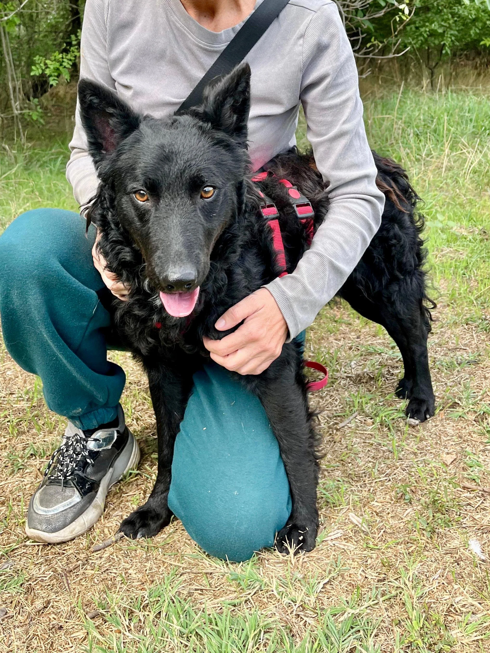 WhatsApp Image 2025-10-28 at 16.52.57.jpeg