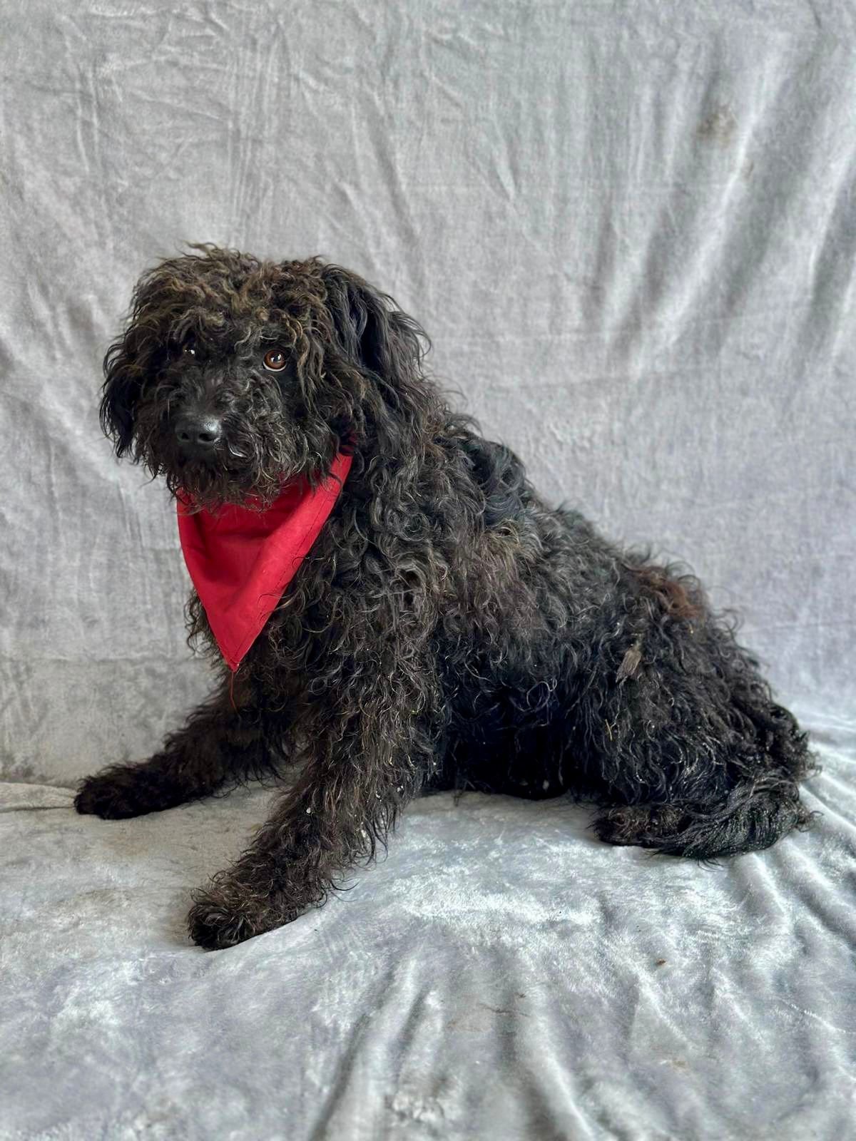 WhatsApp Image 2026-01-20 at 15.53.40 (1).jpeg