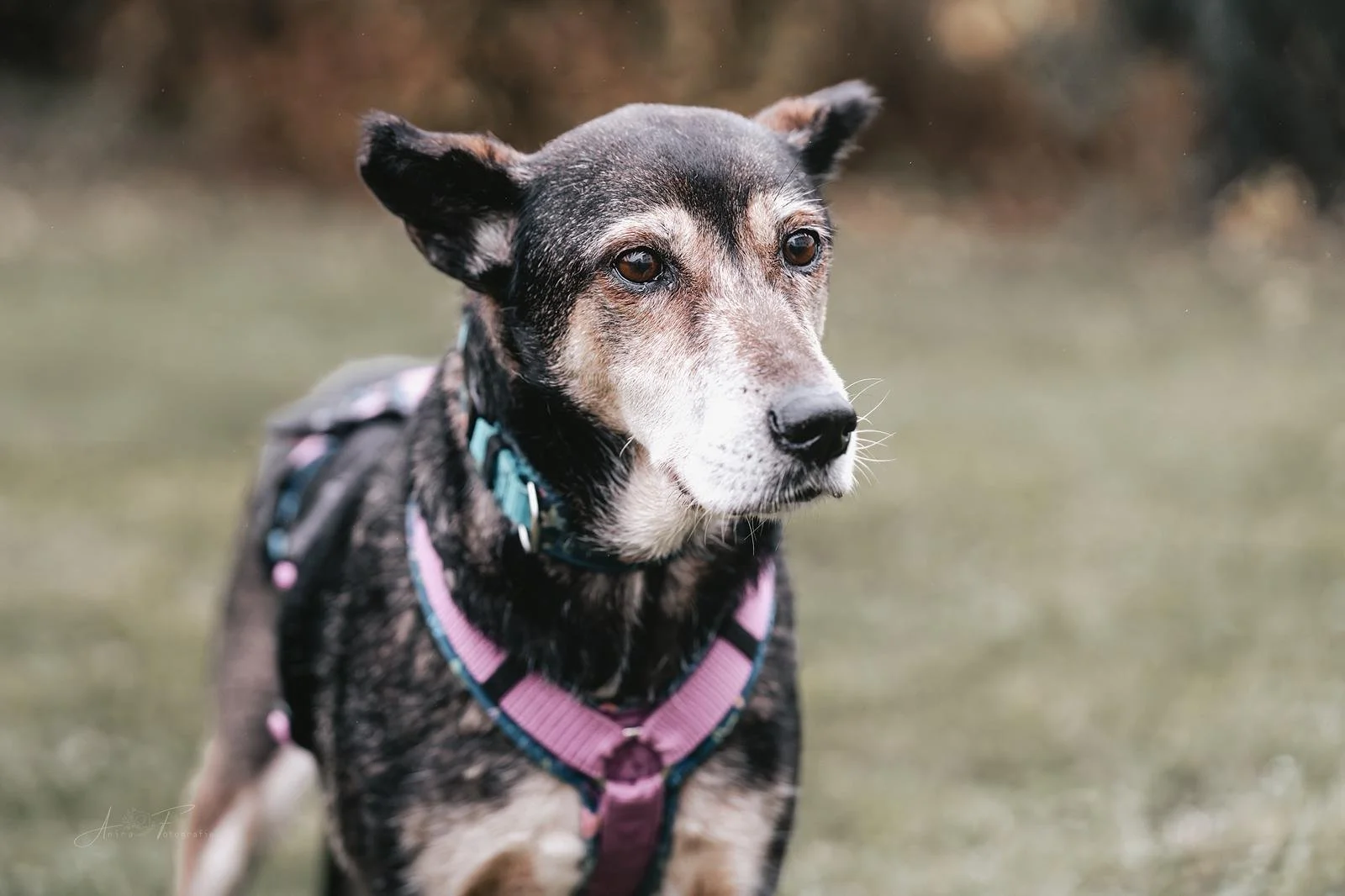 WhatsApp Image 2025-12-13 at 16.28.28 (3).jpeg