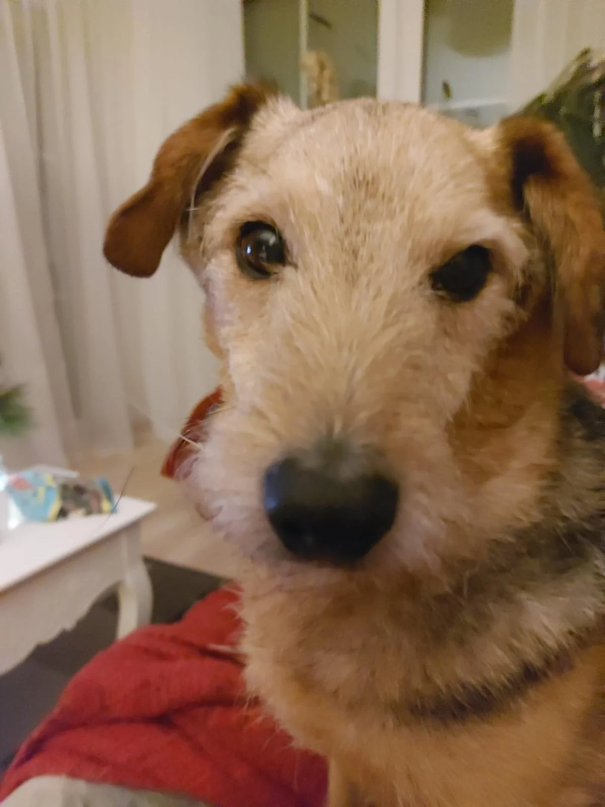 WhatsApp Image 2026-01-24 at 19.38.54 (2).jpeg