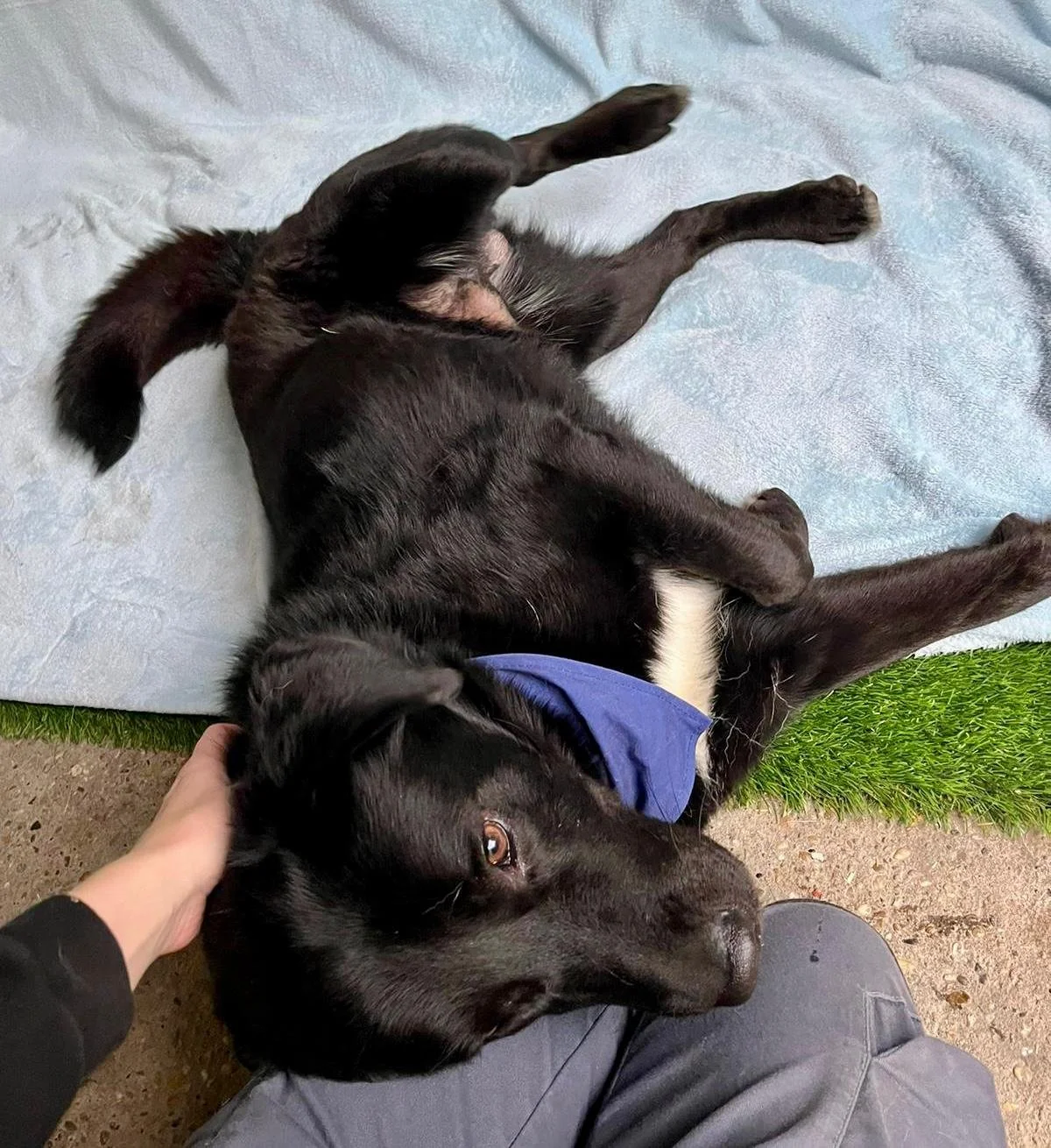 WhatsApp Image 2025-10-31 at 11.19.52 (1).jpeg