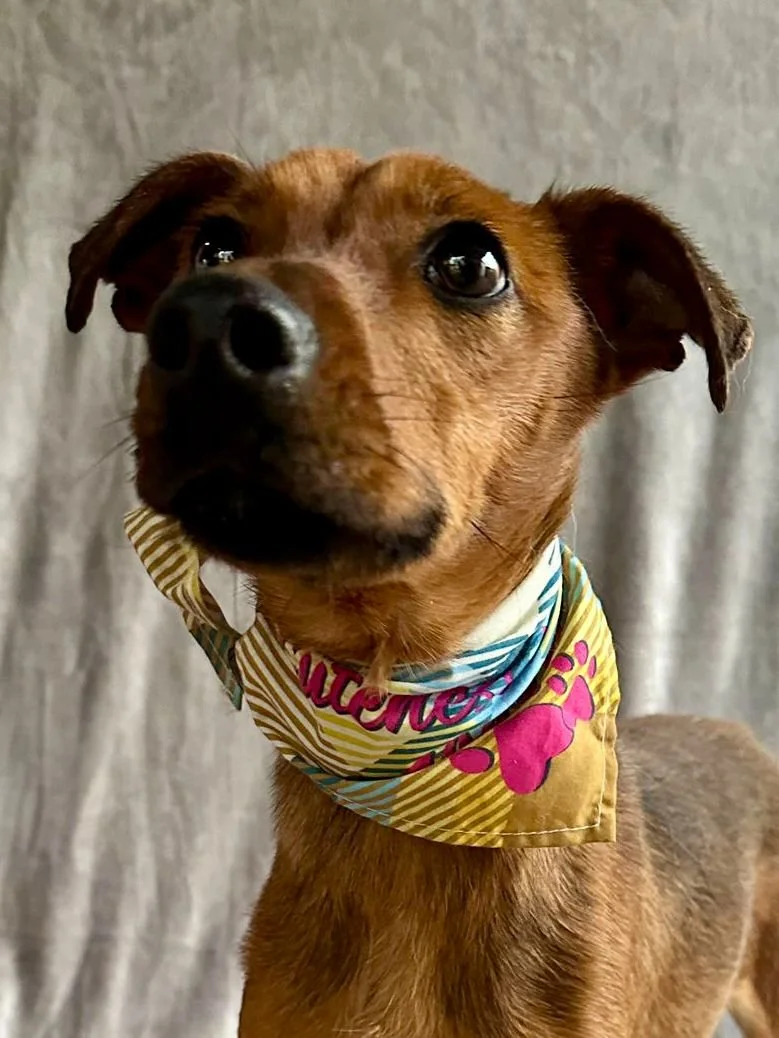 WhatsApp Image 2026-01-03 at 11.24.29.jpeg