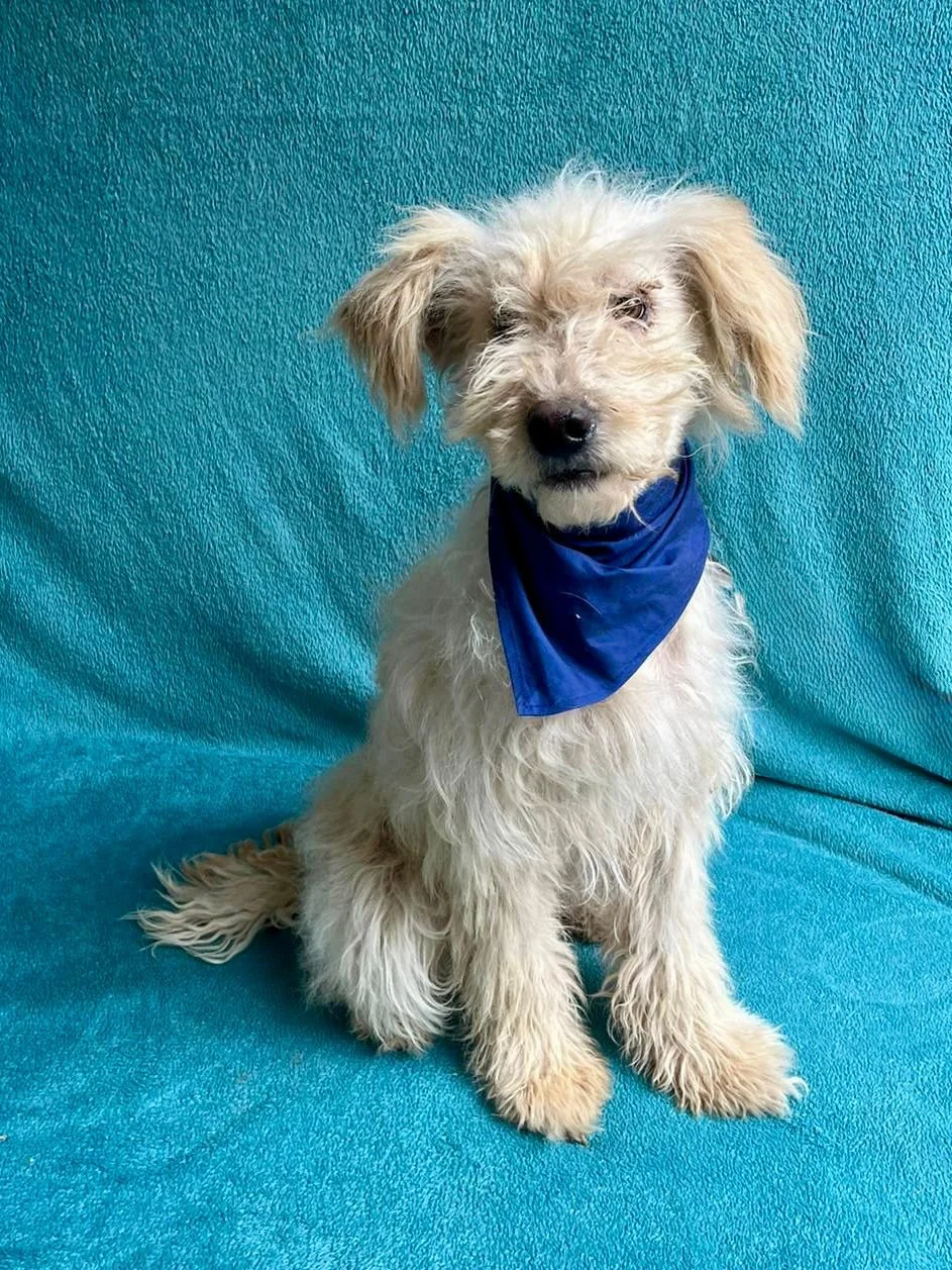 WhatsApp Image 2025-10-31 at 10.04.28.jpeg