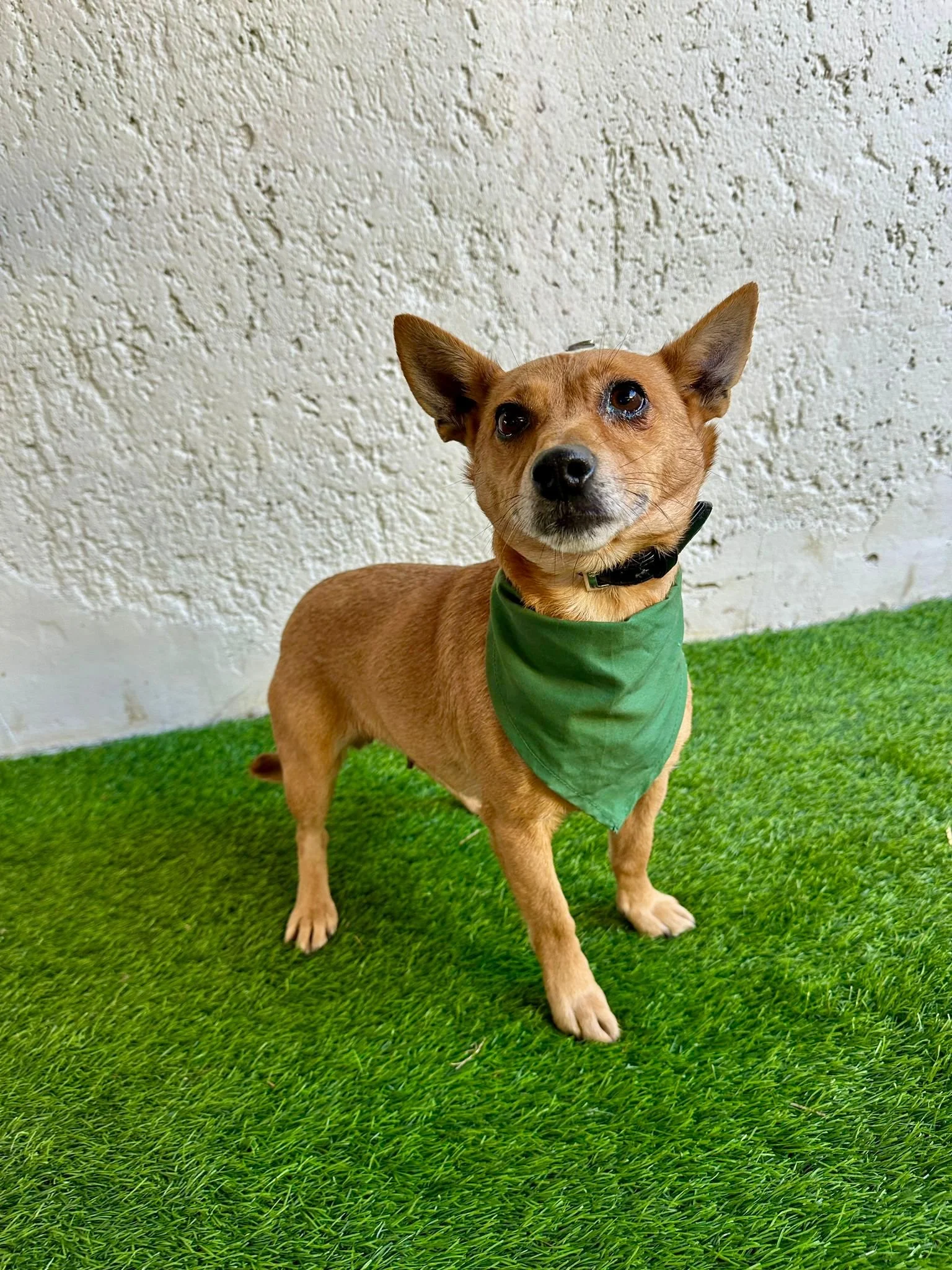 WhatsApp Image 2026-01-01 at 11.58.59.jpeg