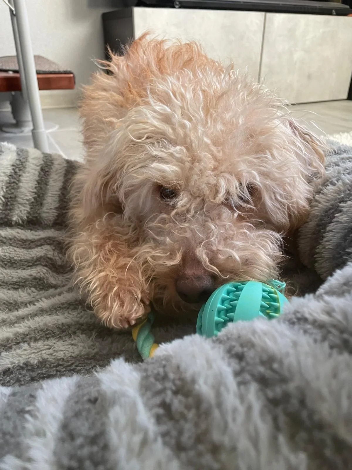 WhatsApp Image 2025-12-31 at 11.04.35 (2).jpeg