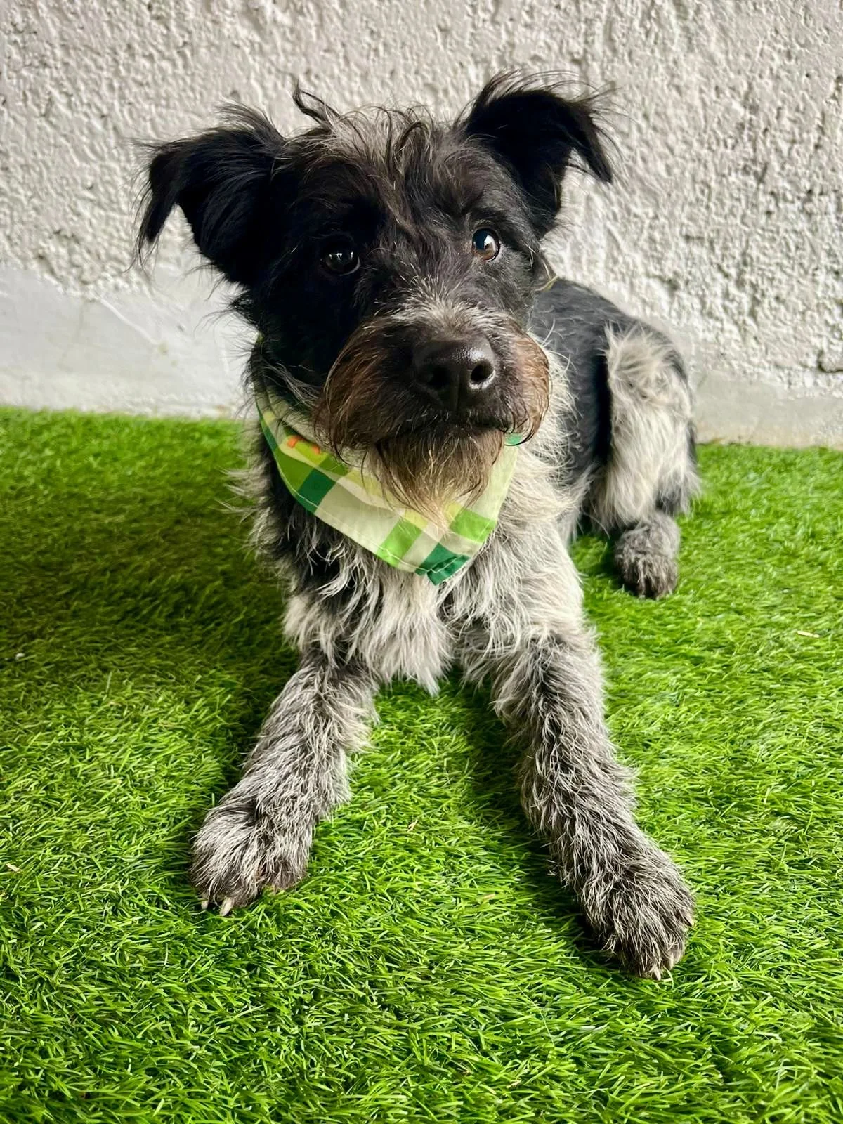 WhatsApp Image 2026-01-03 at 17.56.43 (1).jpeg