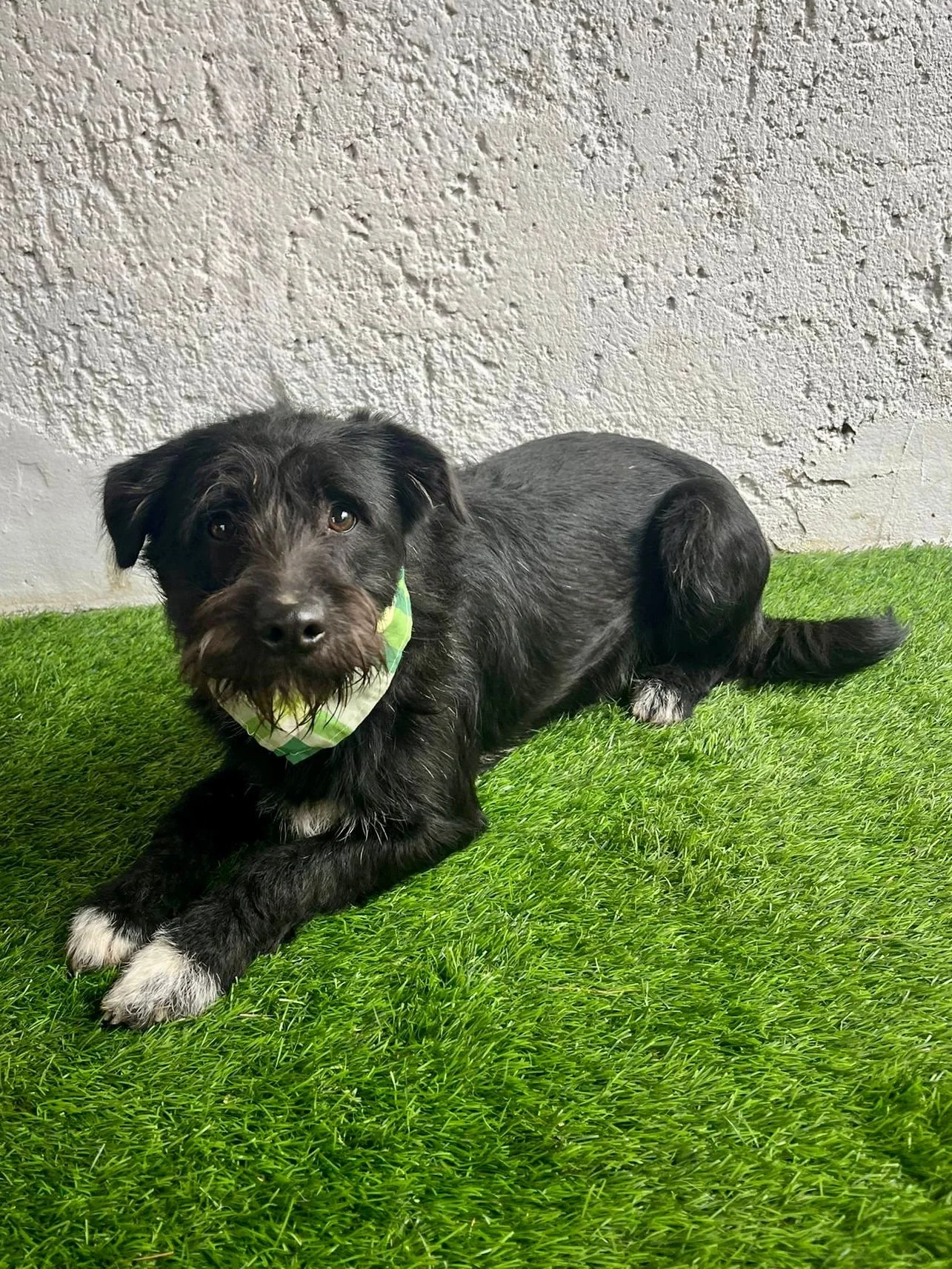 WhatsApp Image 2026-01-03 at 17.56.38 (2).jpeg