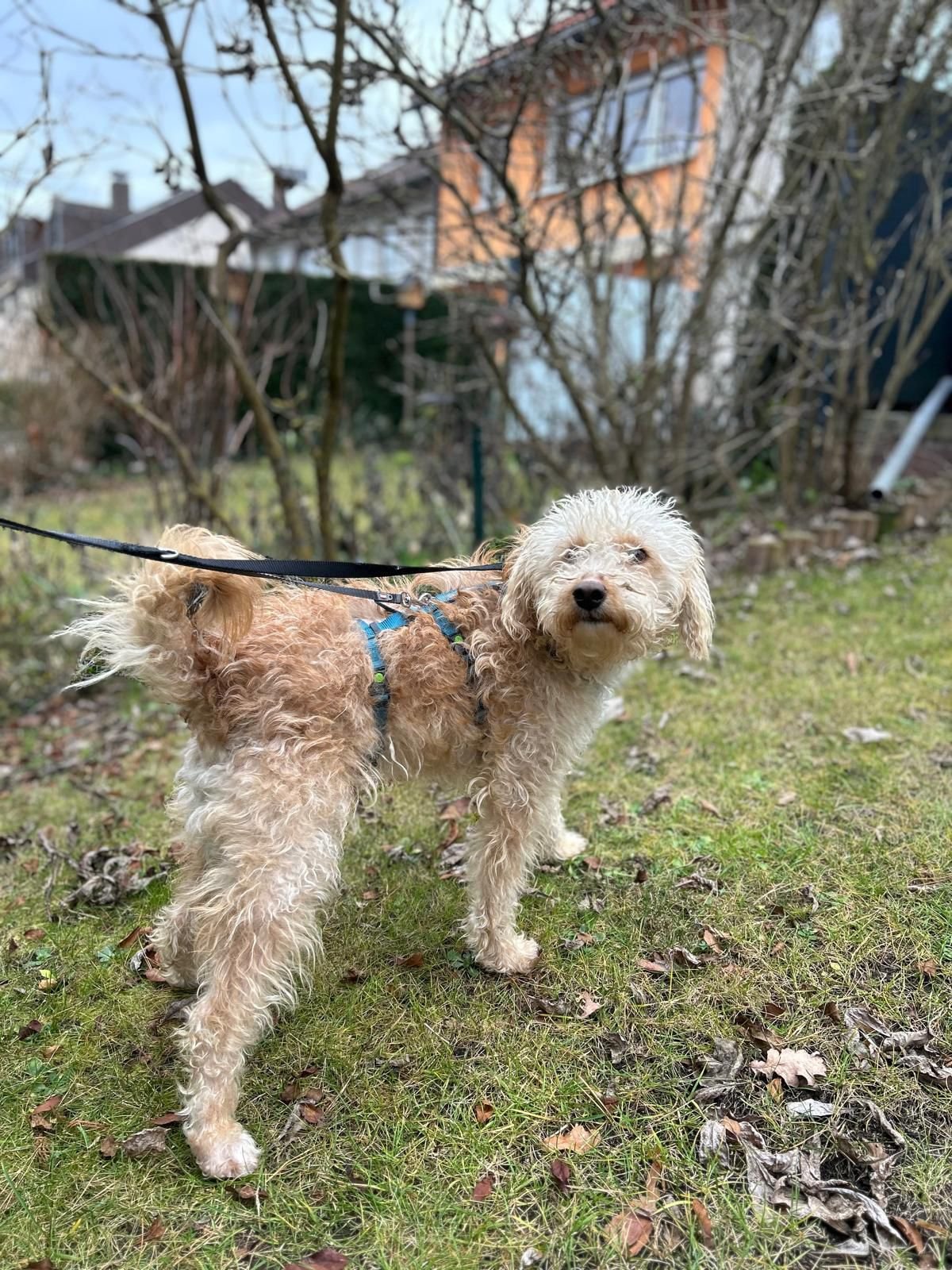 WhatsApp Image 2025-12-31 at 11.04.37 (1).jpeg