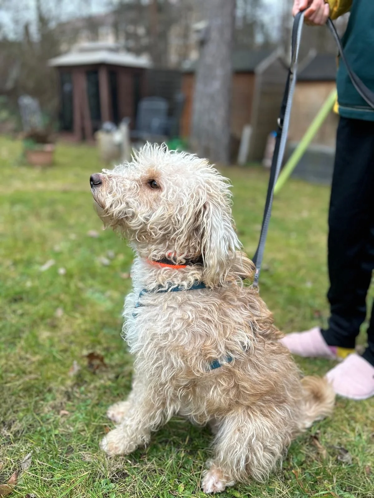 WhatsApp Image 2025-12-31 at 11.04.36 (1).jpeg