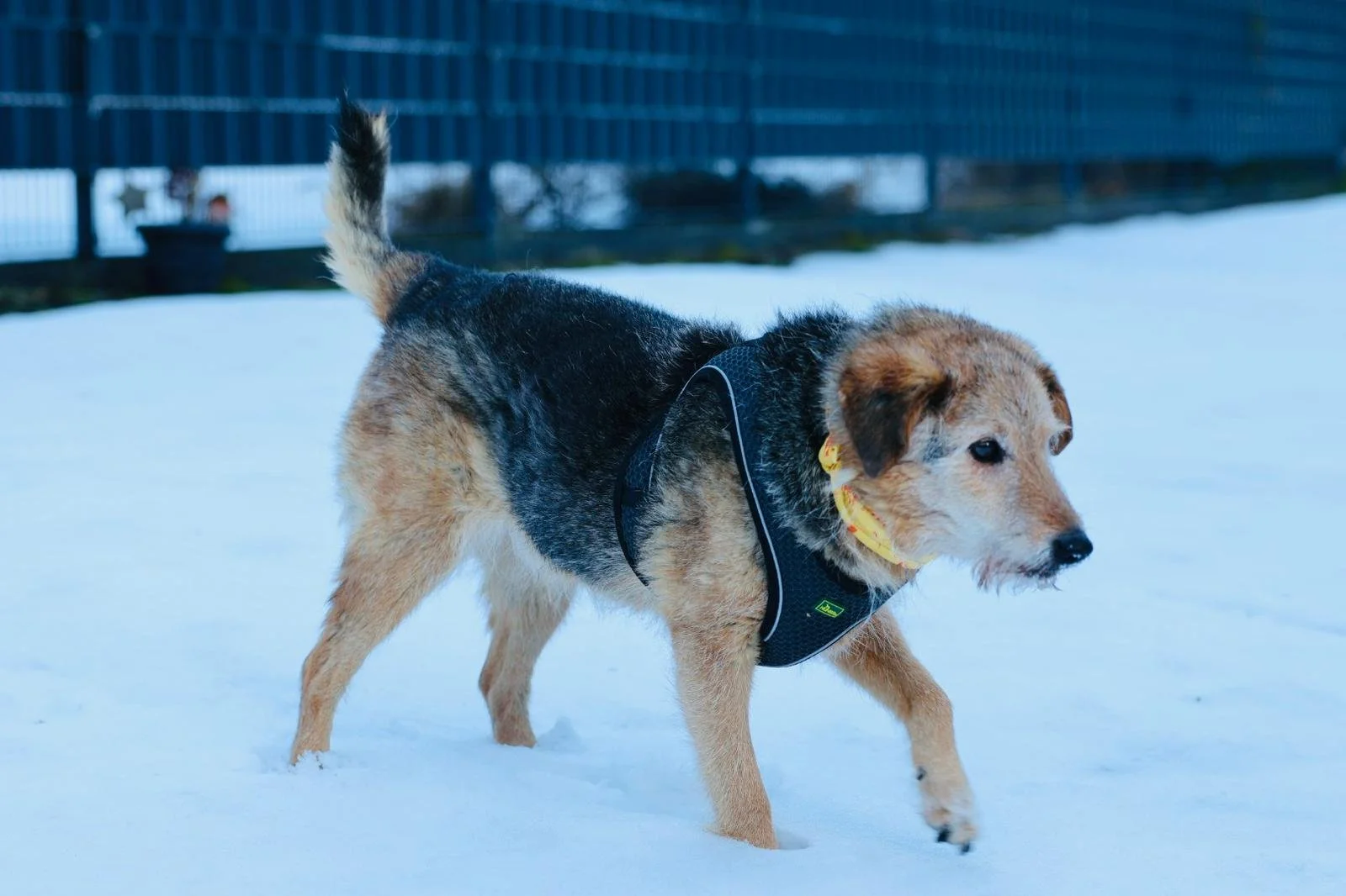 WhatsApp Image 2026-01-24 at 19.38.53 (1).jpeg