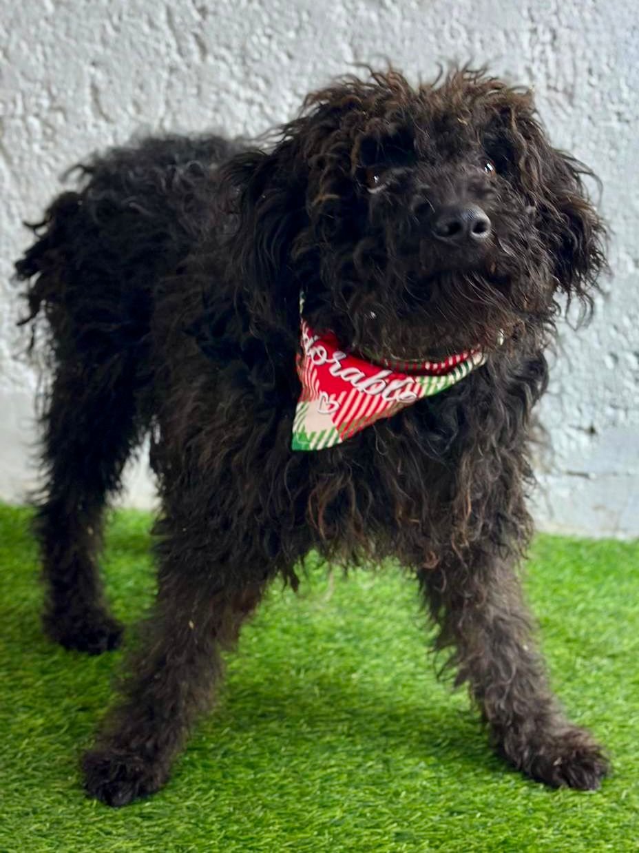 WhatsApp Image 2026-01-20 at 15.53.40 (3).jpeg