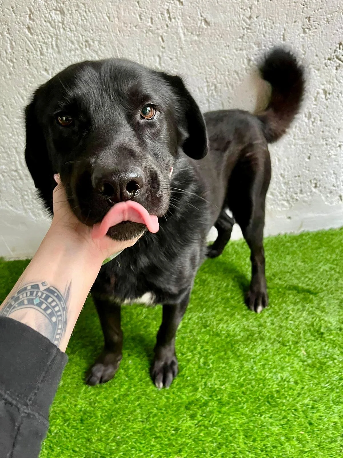 WhatsApp Image 2025-10-31 at 11.19.52.jpeg