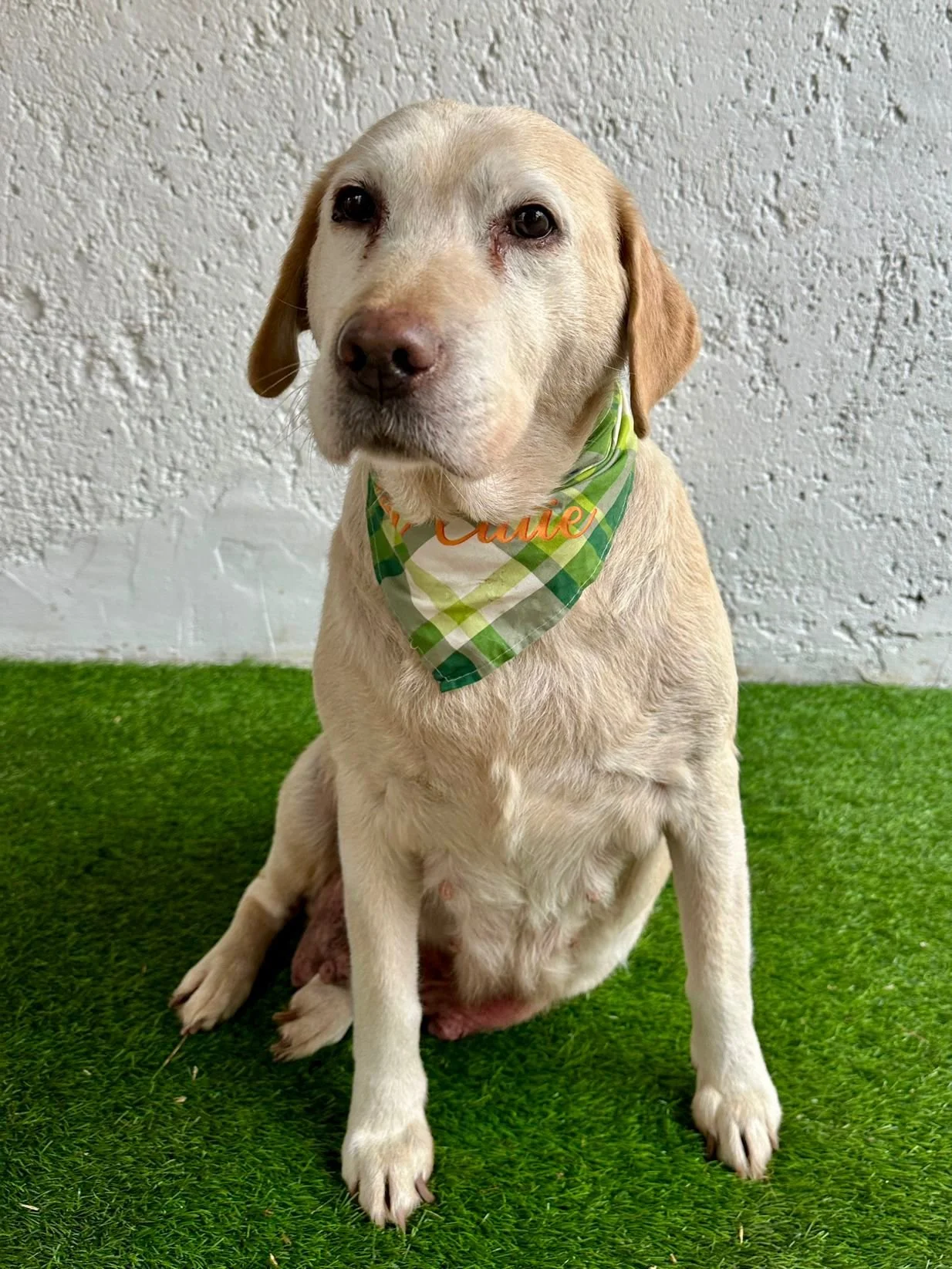 WhatsApp Image 2026-01-01 at 12.37.35 (2).jpeg