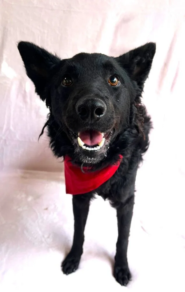 WhatsApp Image 2025-10-28 at 16.52.53 (2).jpeg