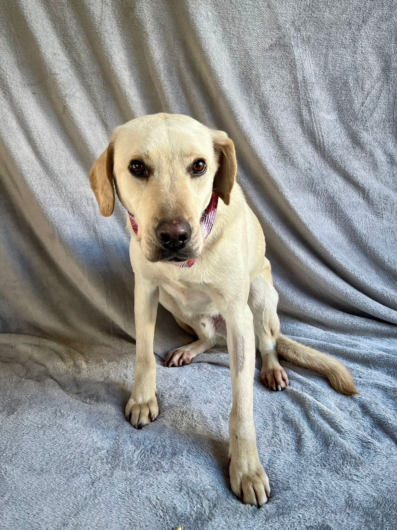 WhatsApp Image 2026-01-01 at 19.16.36 (2).jpeg