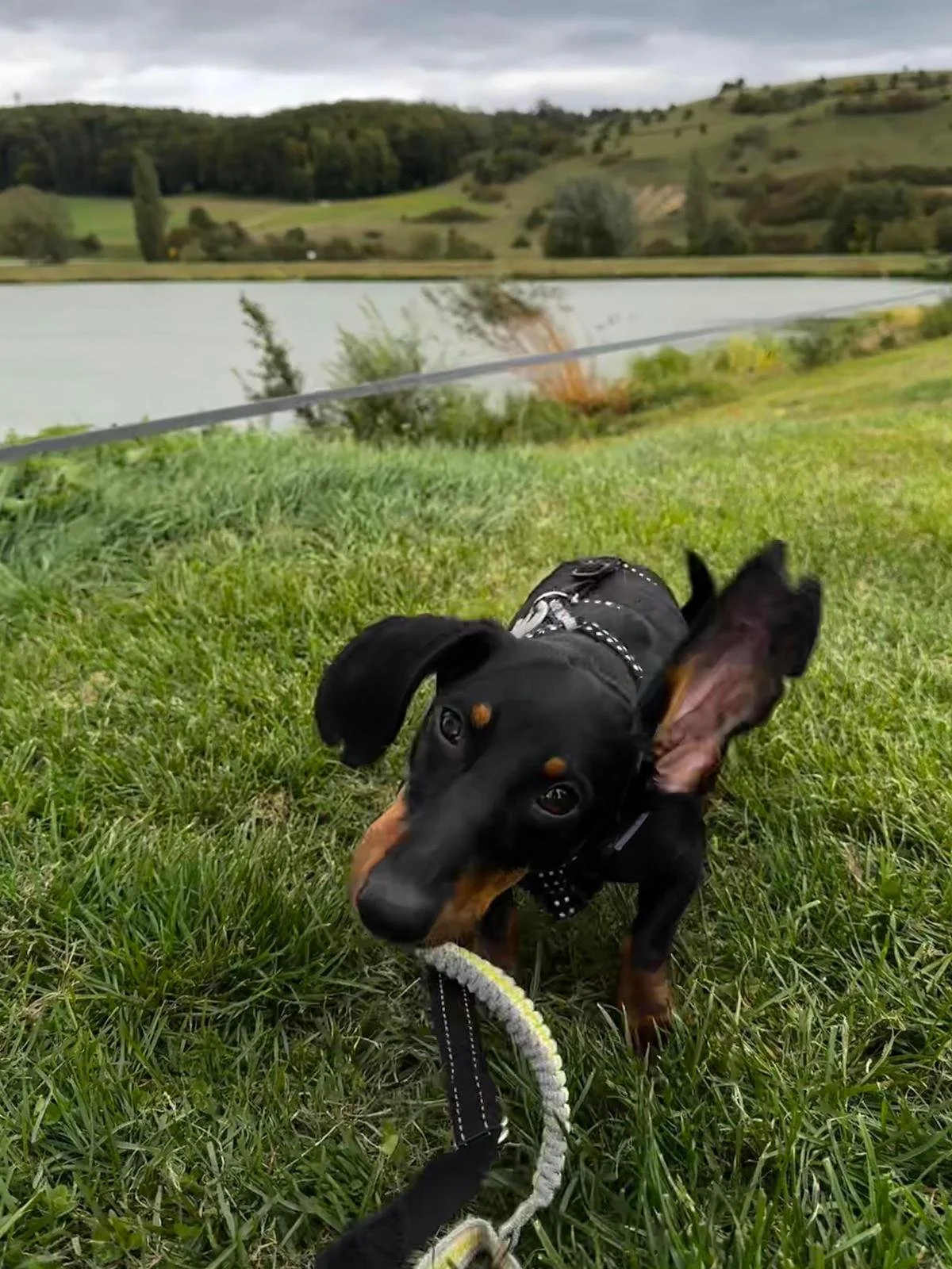 WhatsApp Image 2025-11-17 at 10.34.39.jpeg