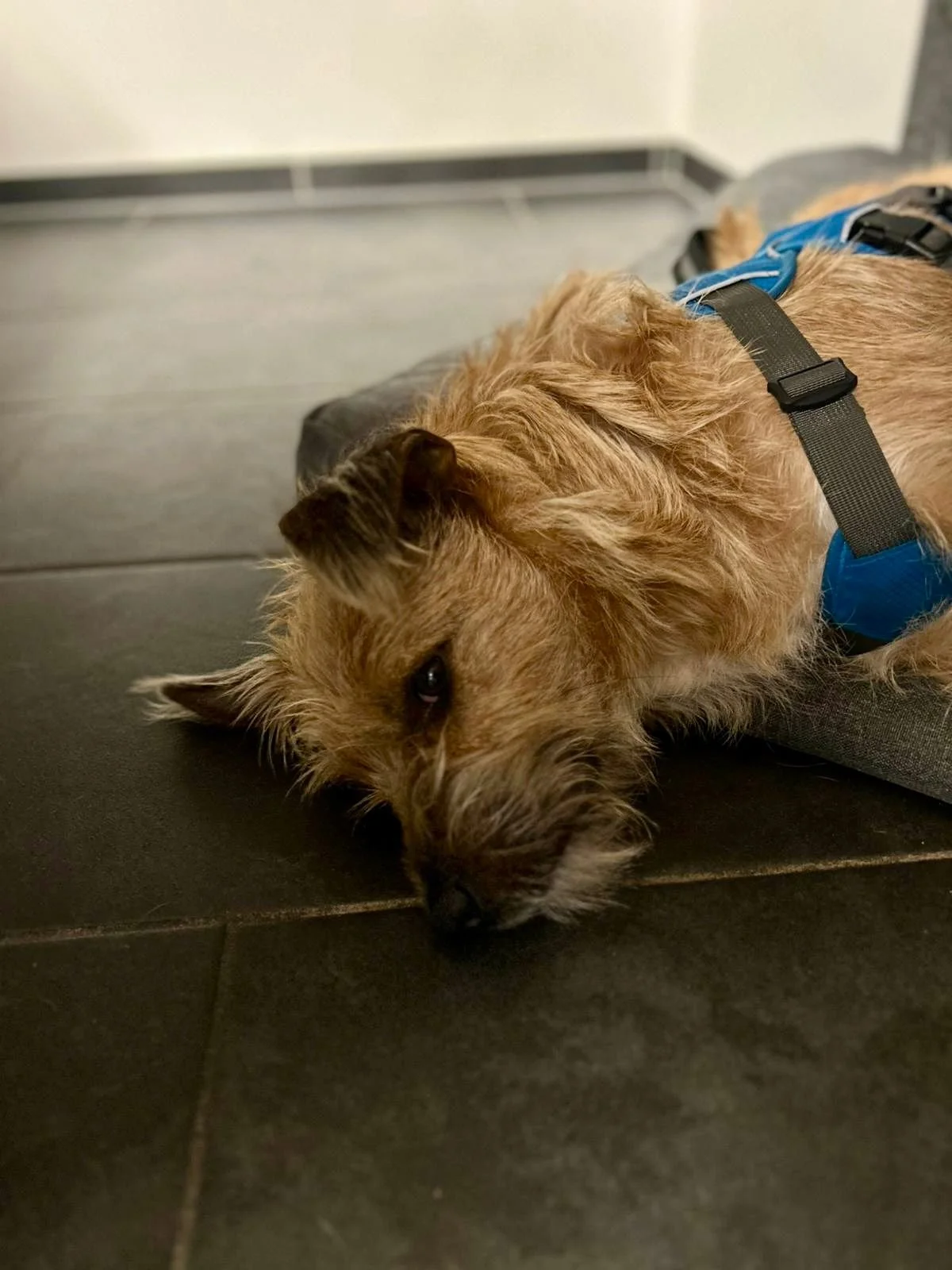 WhatsApp Image 2025-11-19 at 17.16.50.jpeg