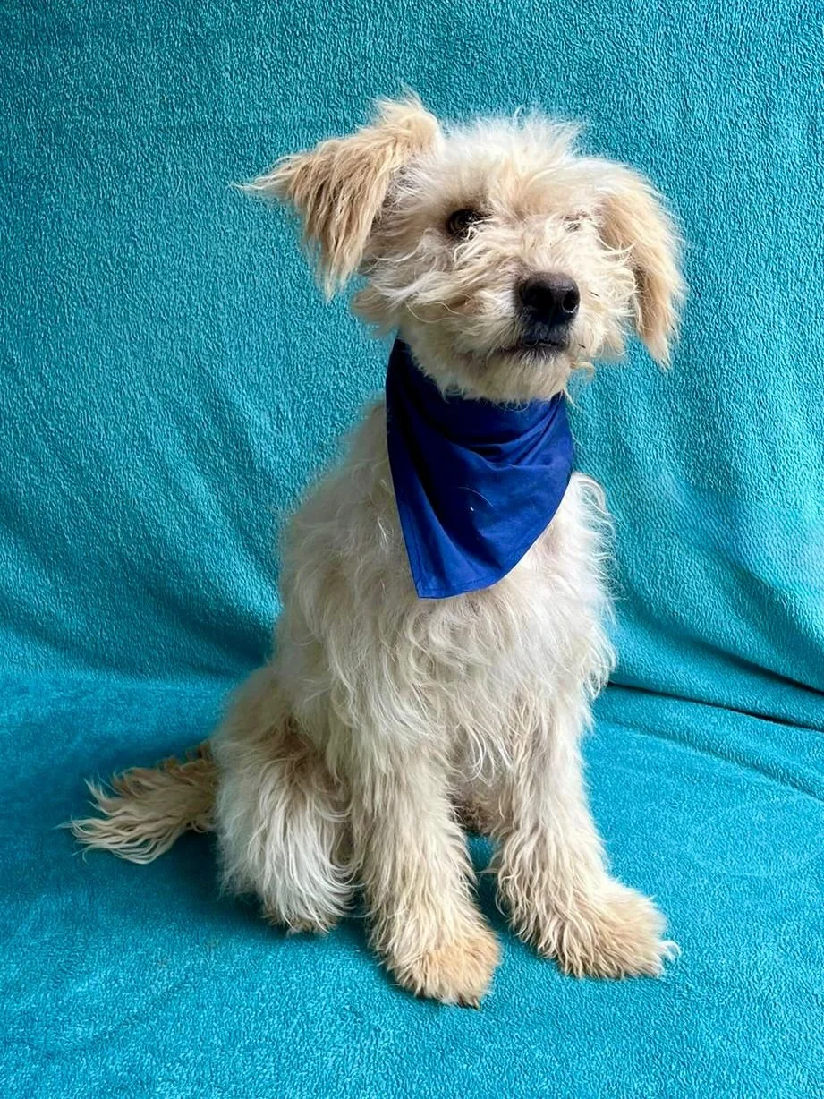 WhatsApp Image 2025-10-31 at 10.04.27.jpeg