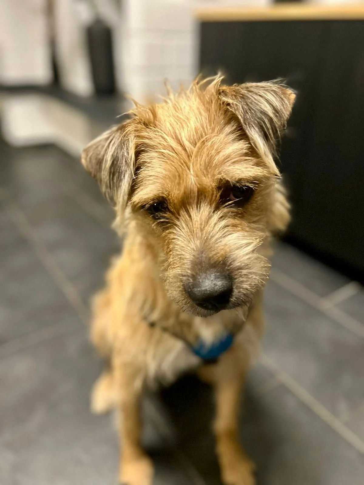 WhatsApp Image 2025-11-19 at 17.16.48.jpeg