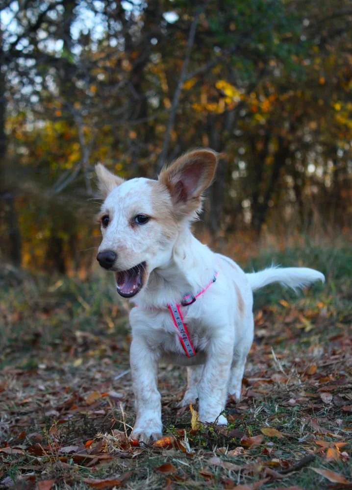 WhatsApp Image 2025-11-18 at 11.34.50 (3).jpeg