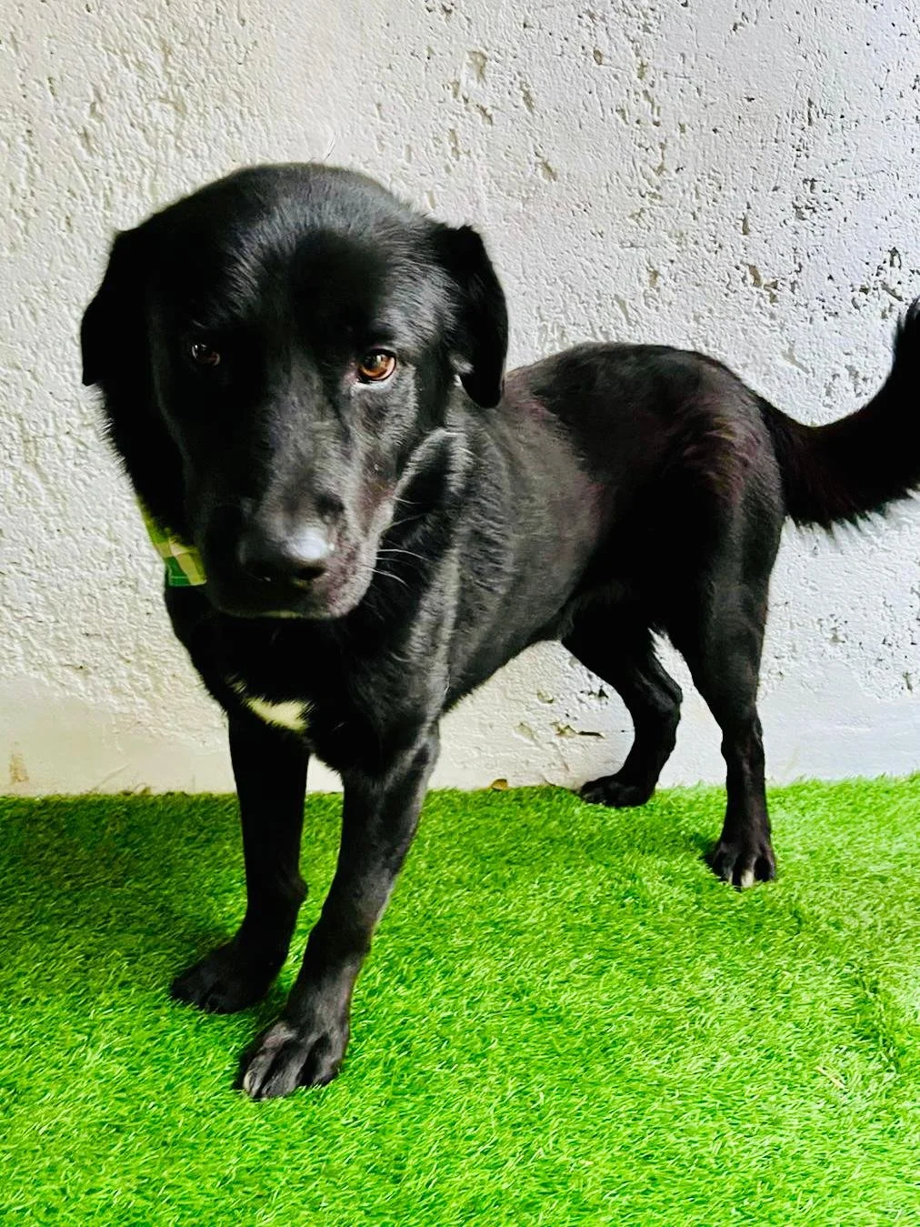 WhatsApp Image 2025-10-31 at 11.19.50 (1).jpeg