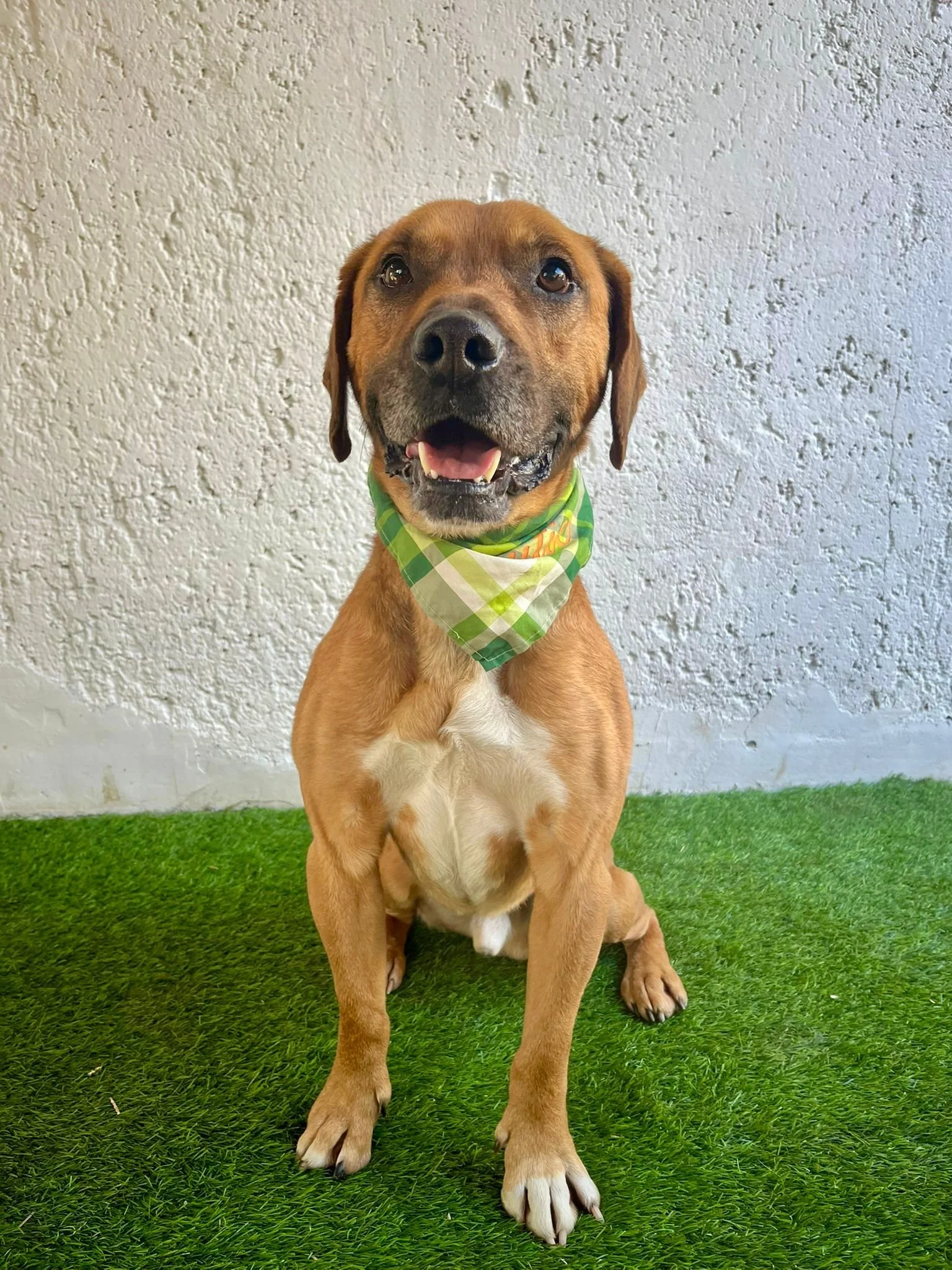 WhatsApp Image 2026-01-10 at 15.07.54 (3).jpeg