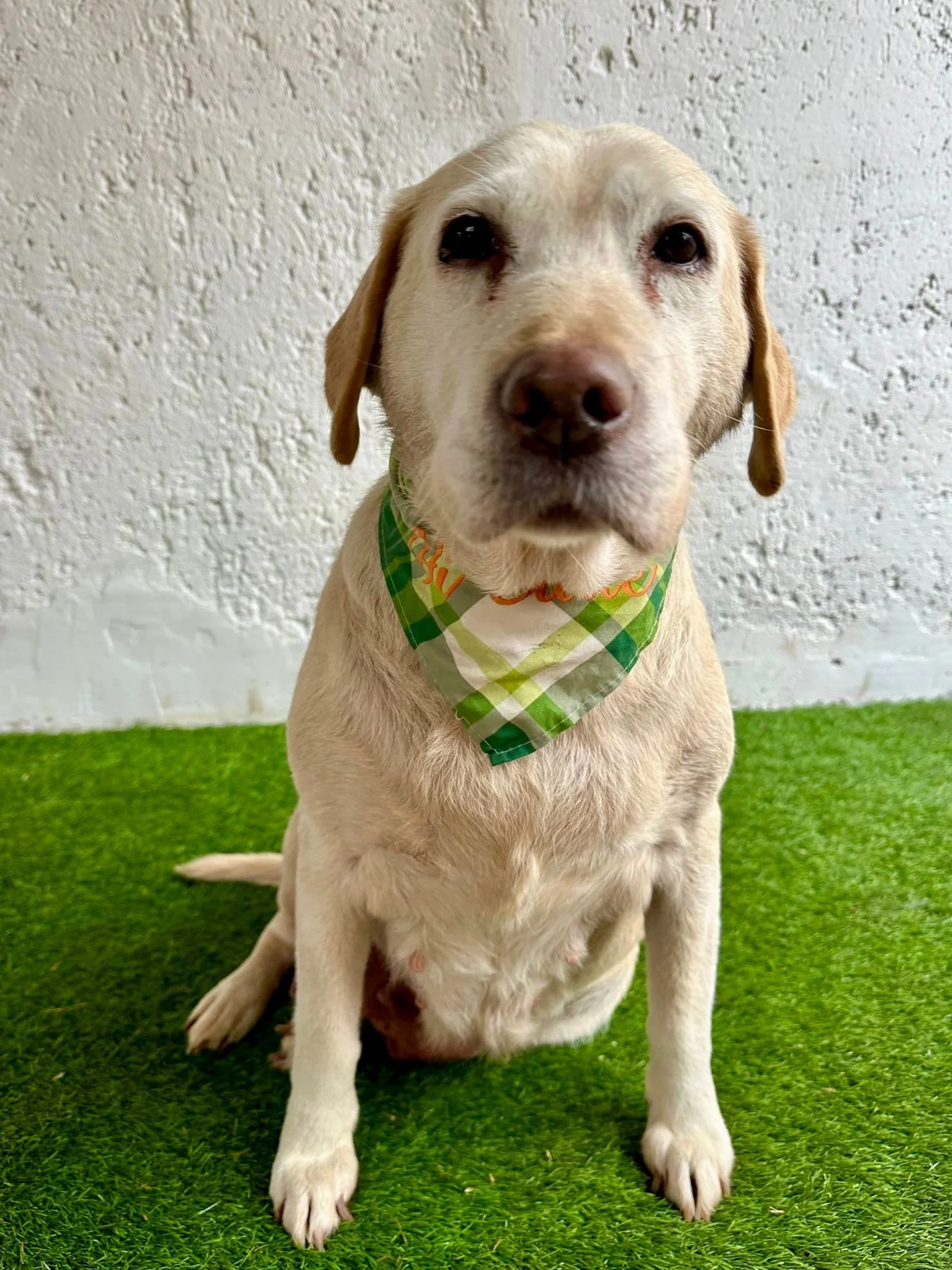 WhatsApp Image 2026-01-01 at 12.37.34.jpeg