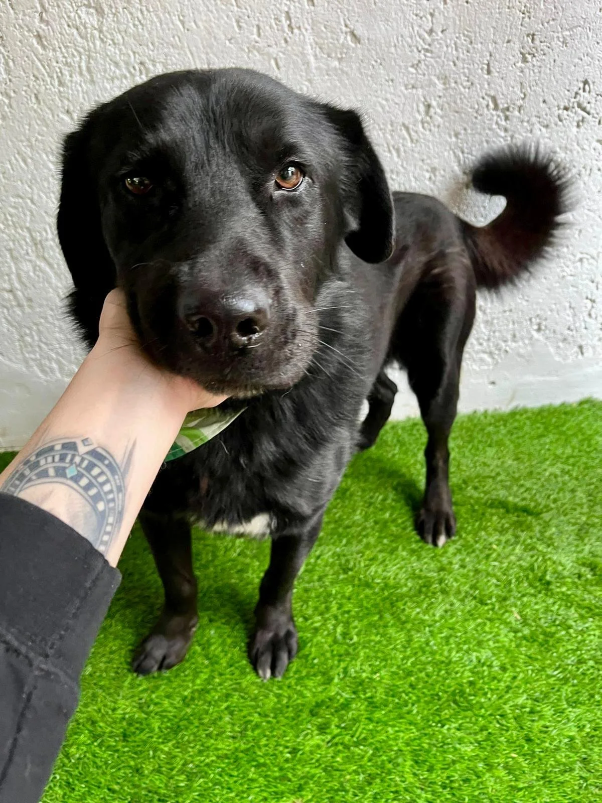 WhatsApp Image 2025-10-31 at 11.19.51.jpeg