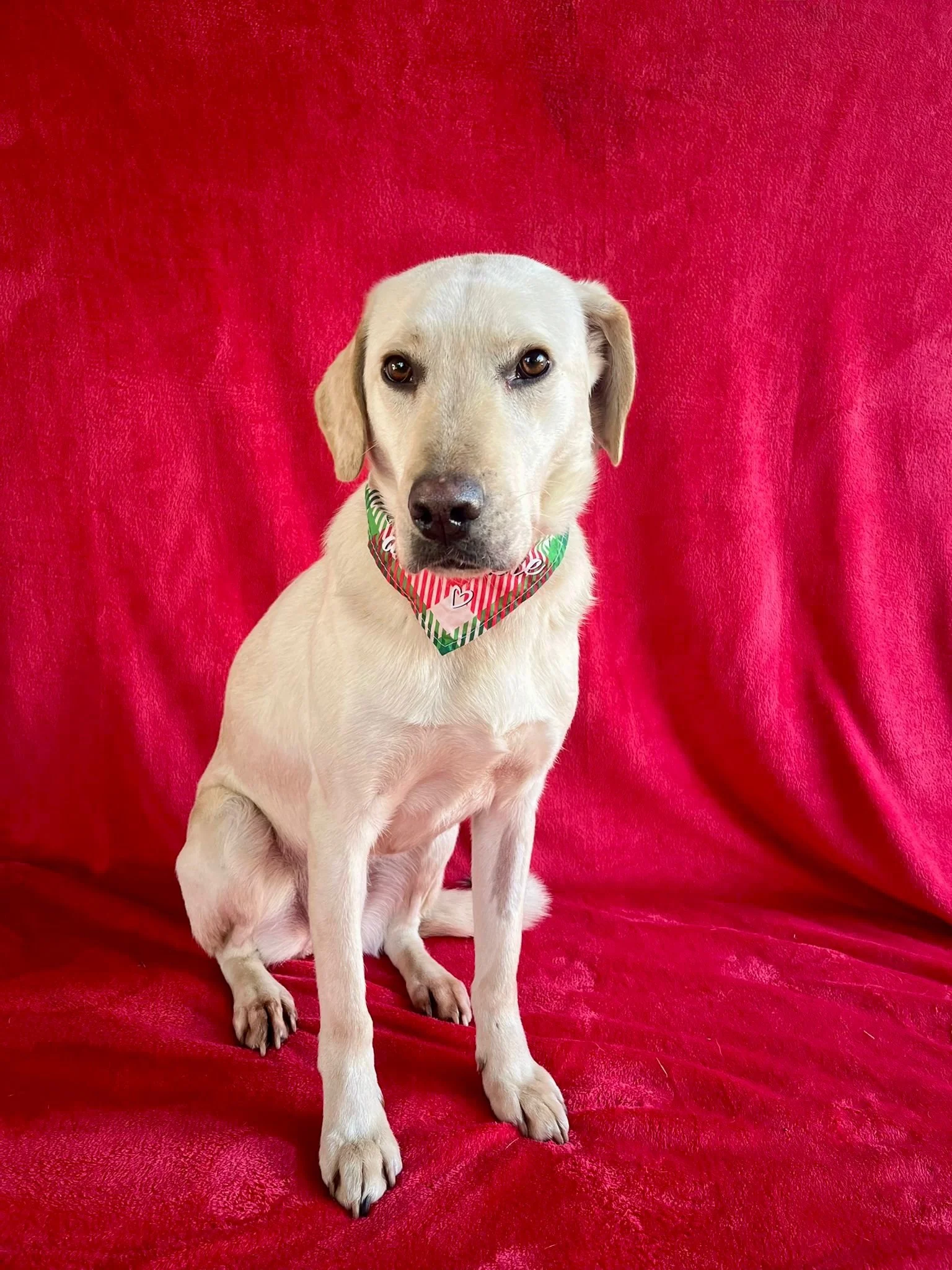 WhatsApp Image 2026-01-01 at 19.16.32 (2).jpeg