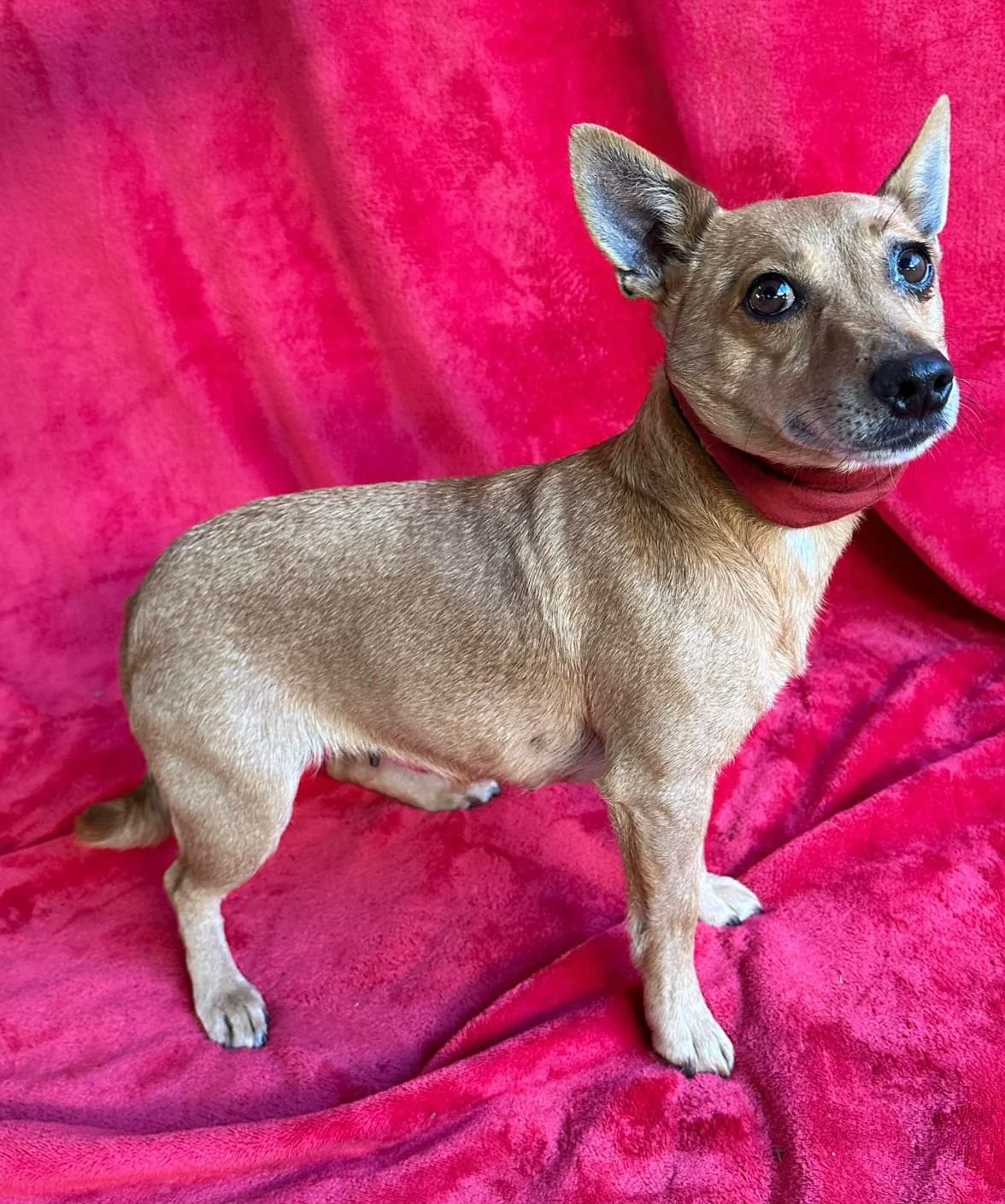 WhatsApp Image 2026-01-01 at 11.59.00 (2).jpeg