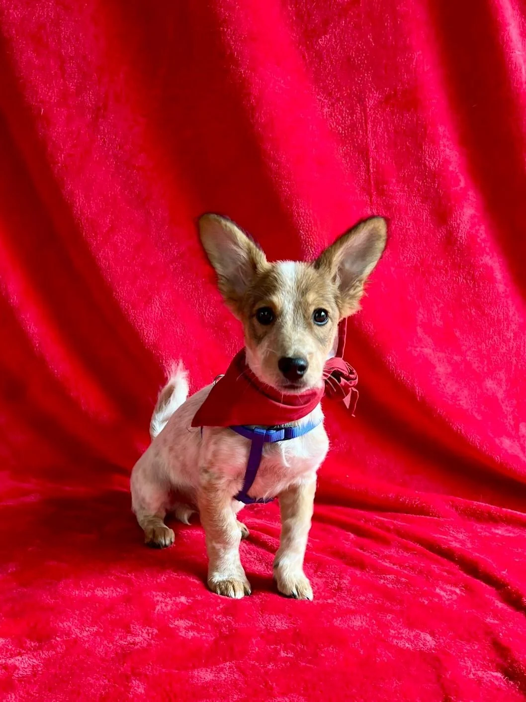 WhatsApp Image 2025-11-18 at 09.53.25 (2).jpeg