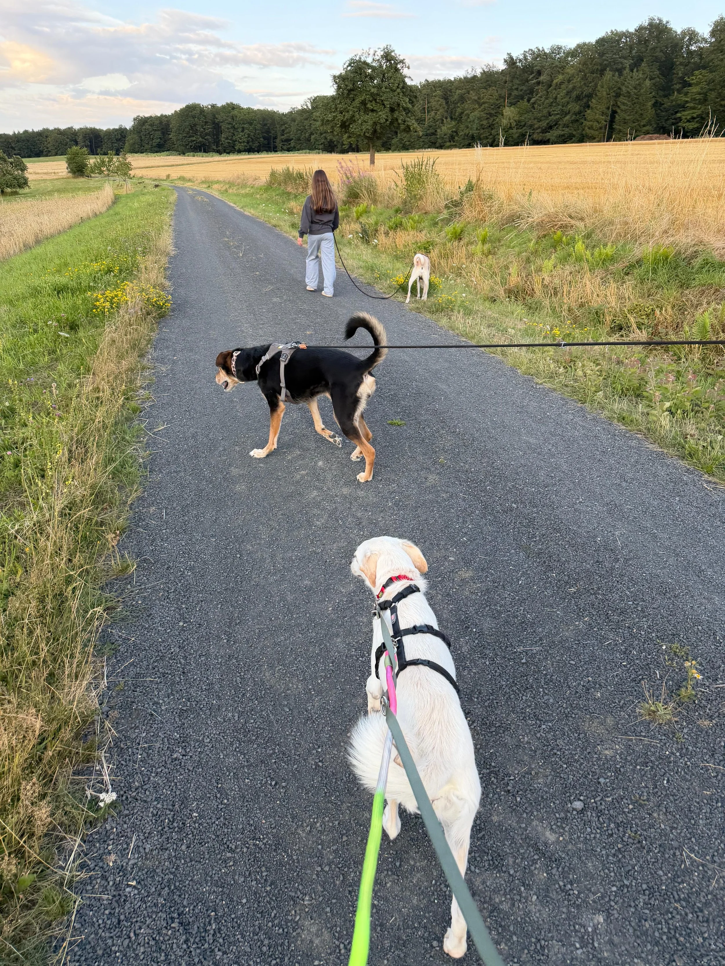 28670044-f6af-4433-bd56-670d7e23c668.jpeg
