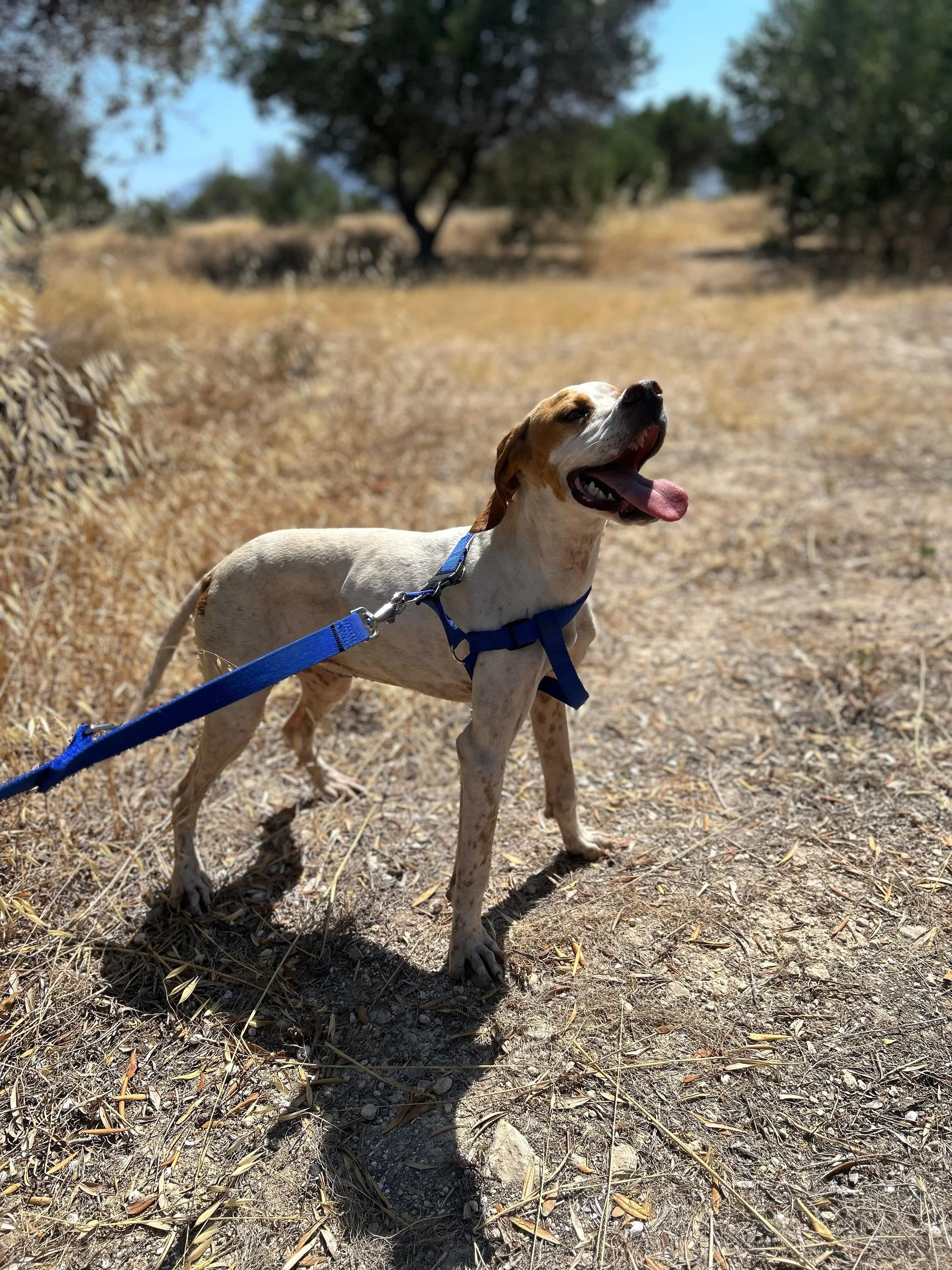 2026-07-02 19-12-40 (4).jpeg