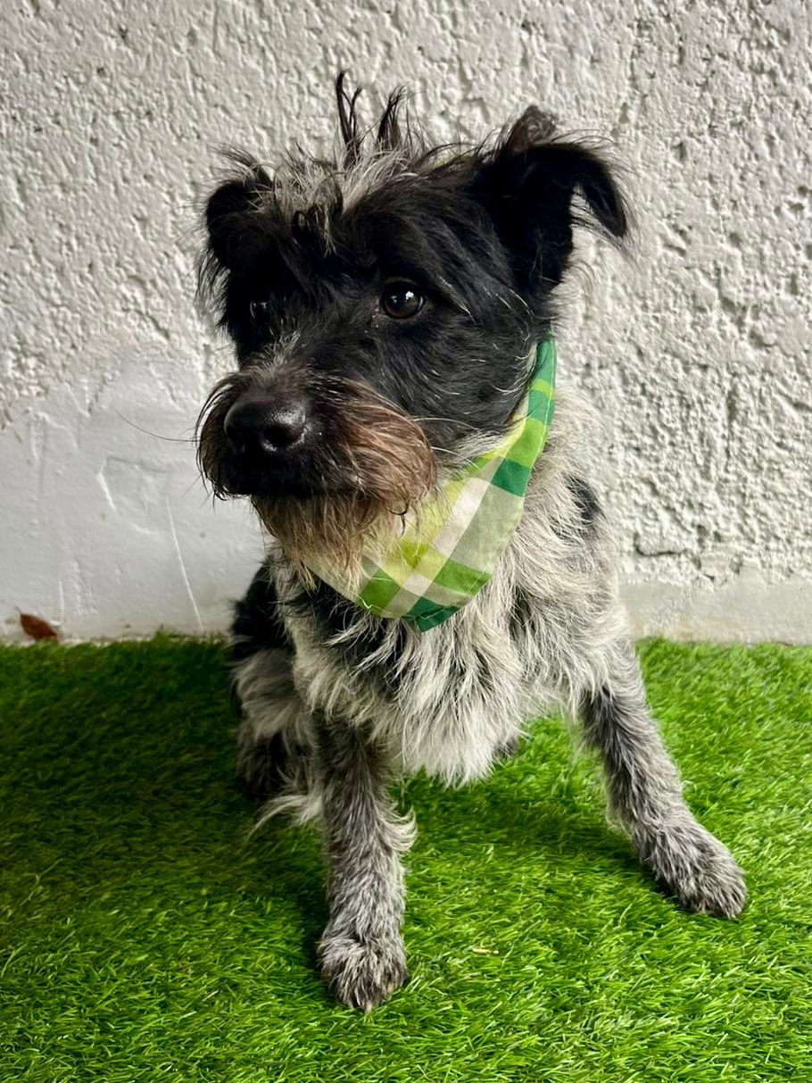 WhatsApp Image 2026-01-03 at 17.56.43.jpeg