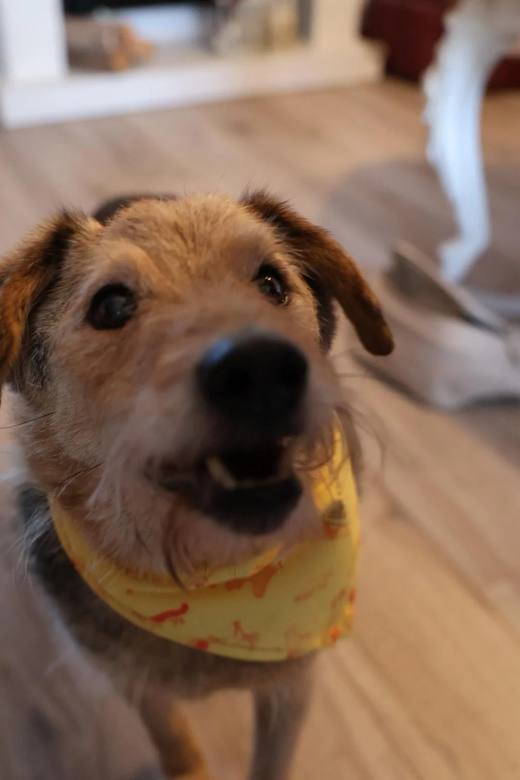 WhatsApp Image 2026-01-24 at 19.38.55 (3).jpeg