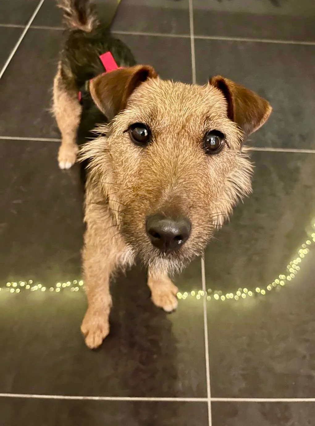 WhatsApp Image 2025-12-19 at 14.41.24 (2).jpeg