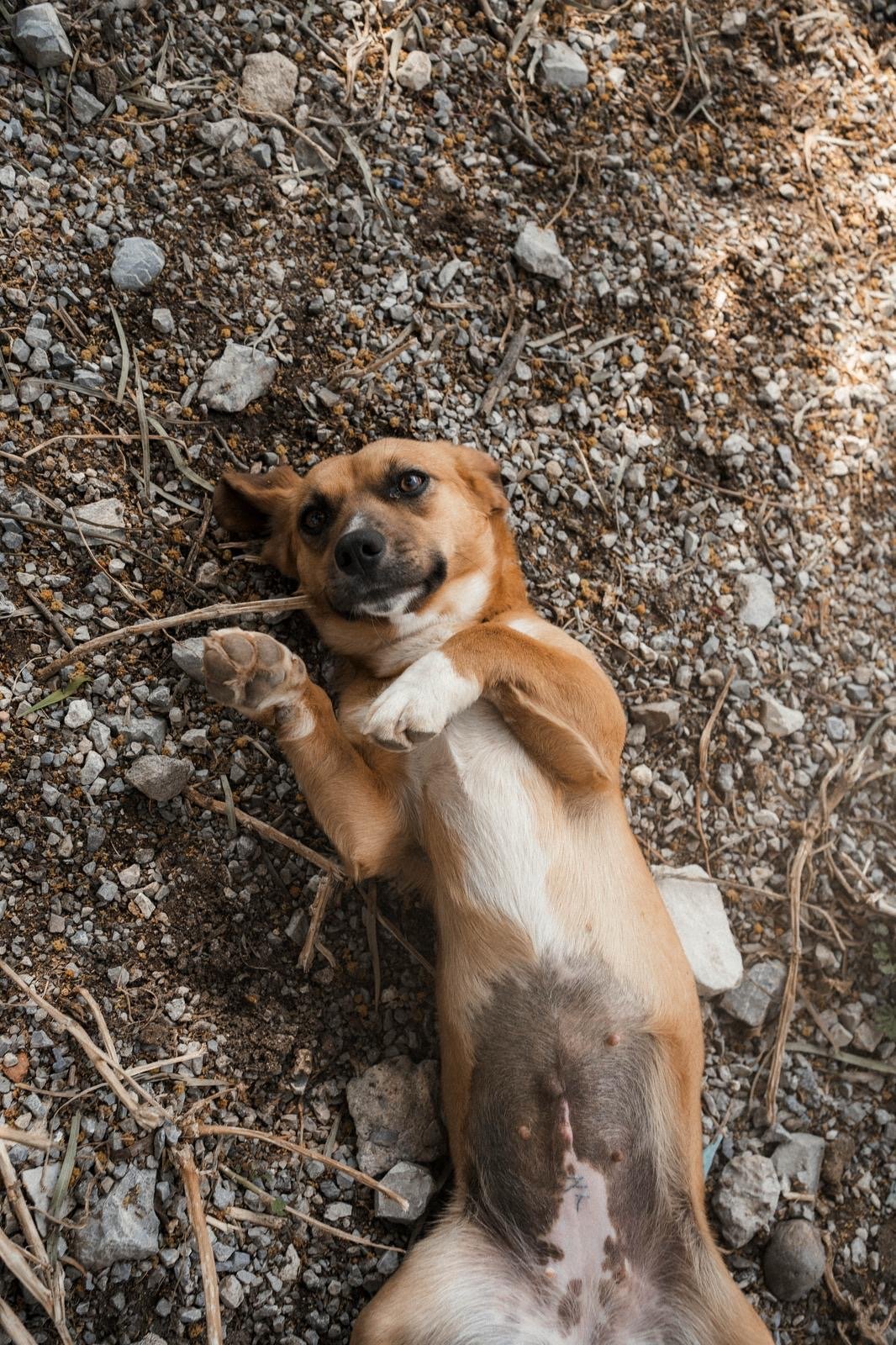 87a7252c-37bb-4b05-9001-c2ab0e5df3ef.jpeg