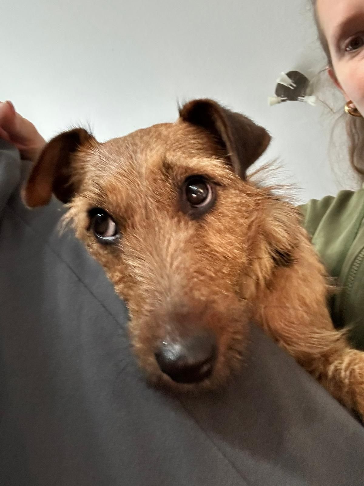 WhatsApp Image 2025-12-19 at 14.41.22 (2).jpeg