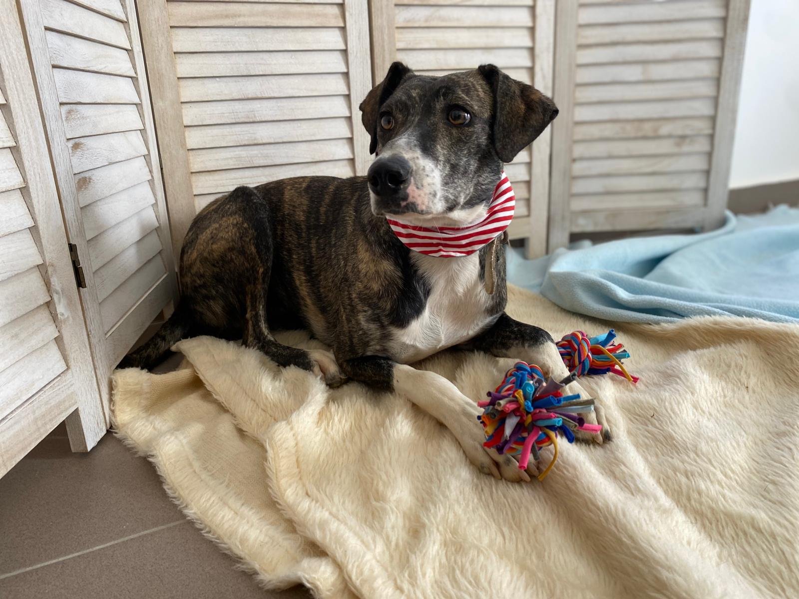 PHOTO-2025-11-12-09-35-35 (3).jpeg